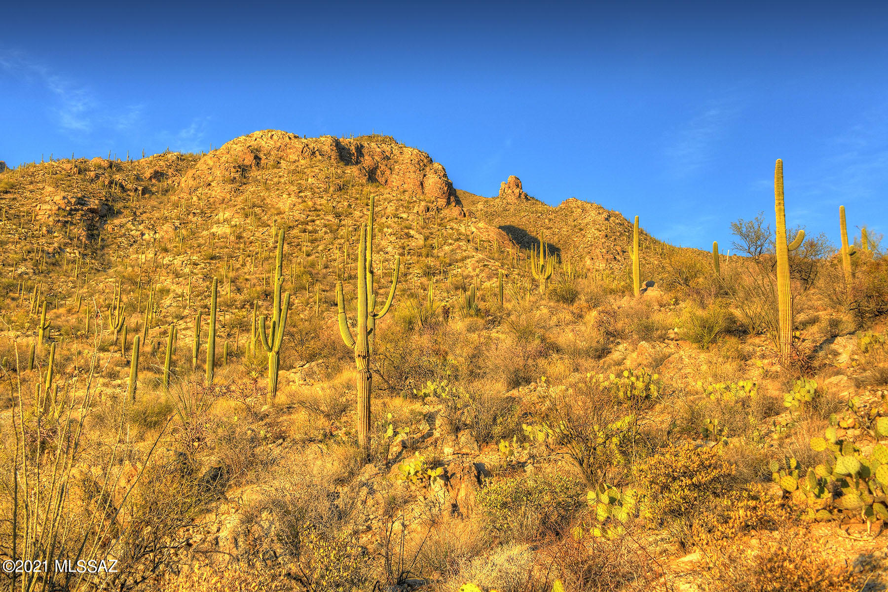 Pima Canyon Estates (30,33,96-102,115,124-127,136-139,147-151,16) - Land