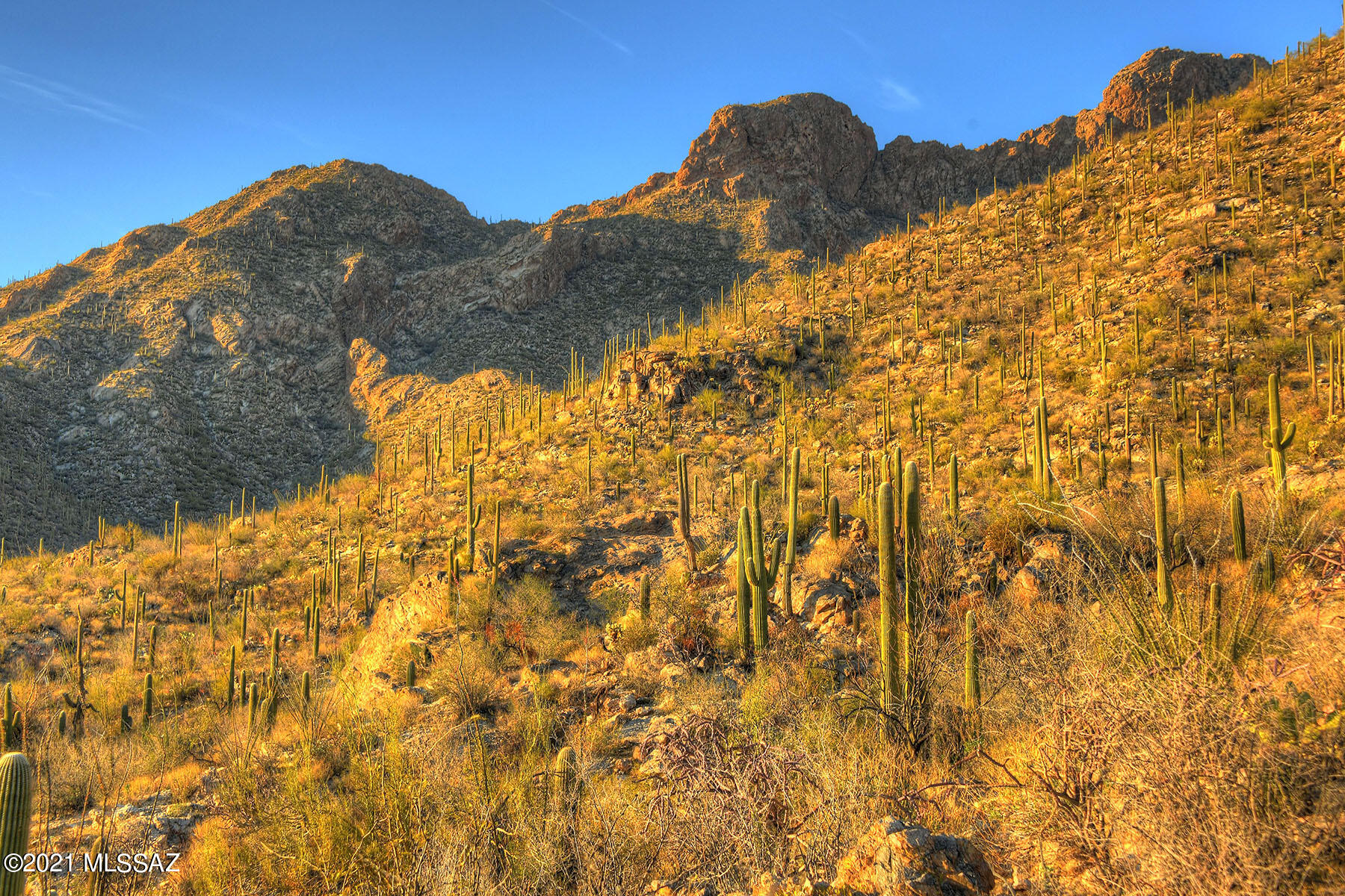 Pima Canyon Estates (30,33,96-102,115,124-127,136-139,147-151,16) - Land
