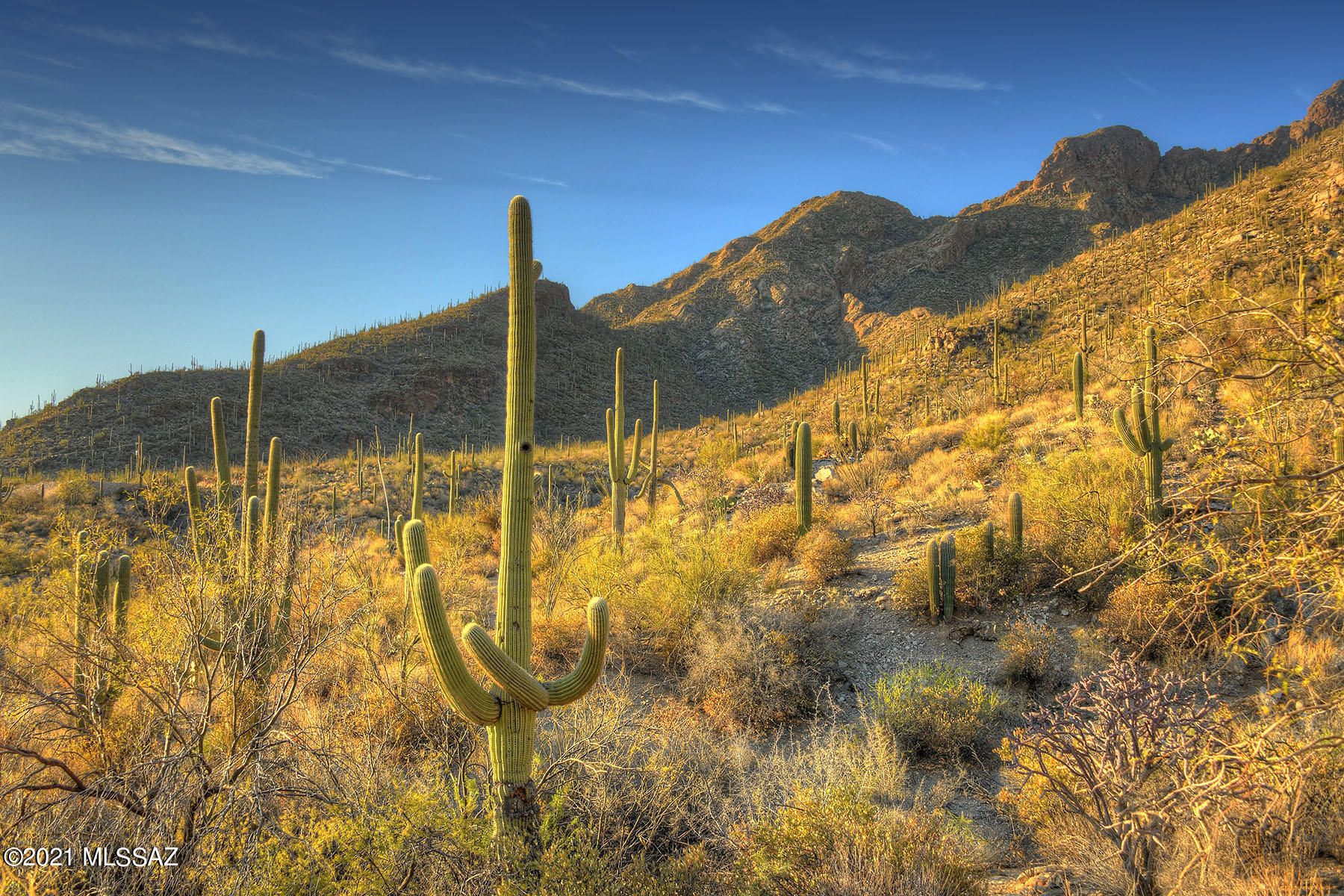 Pima Canyon Estates (30,33,96-102,115,124-127,136-139,147-151,16) - Land