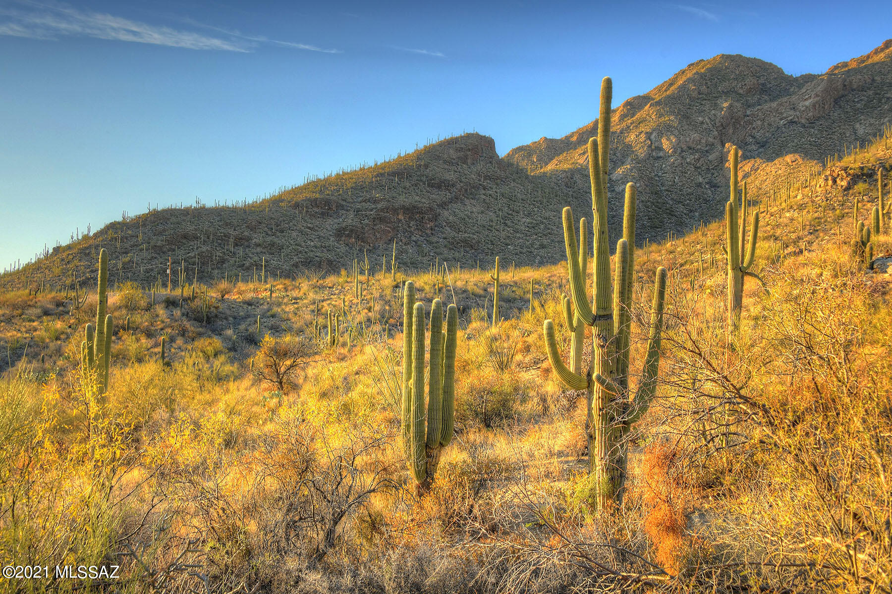 Pima Canyon Estates (30,33,96-102,115,124-127,136-139,147-151,16) - Land
