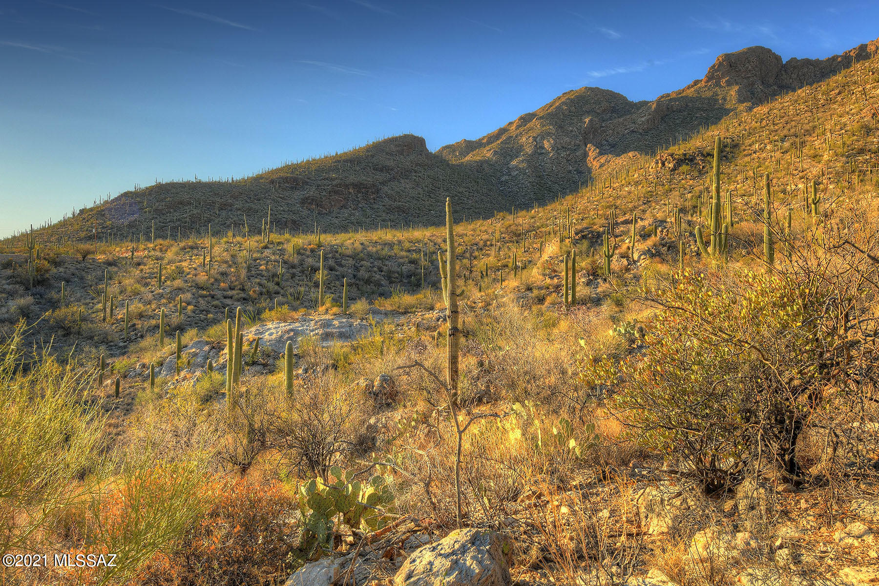 Pima Canyon Estates (30,33,96-102,115,124-127,136-139,147-151,16) - Land