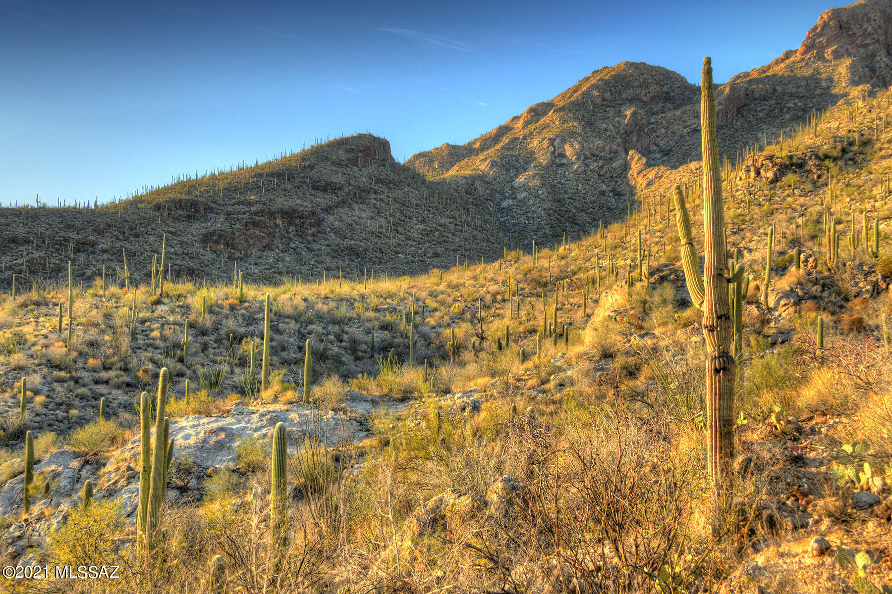 Pima Canyon Estates (30,33,96-102,115,124-127,136-139,147-151,16) - Land