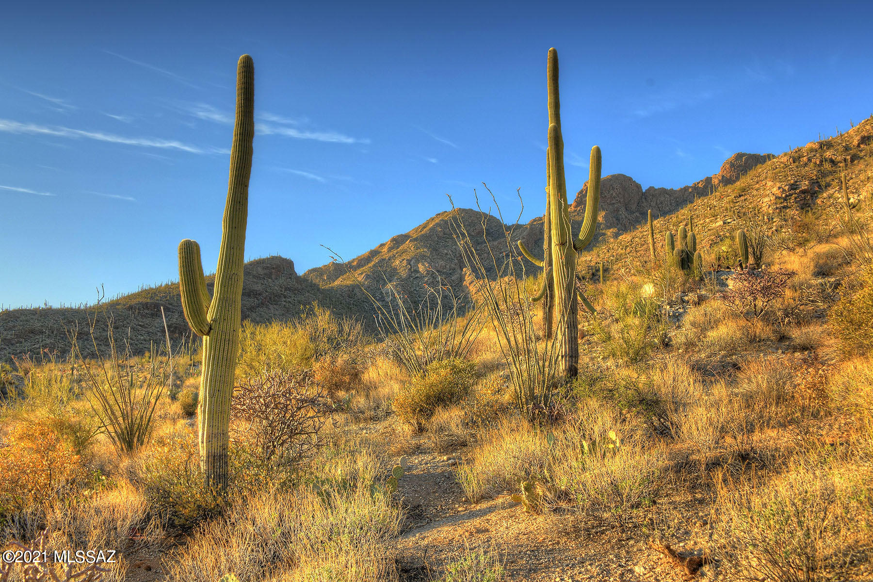Pima Canyon Estates (30,33,96-102,115,124-127,136-139,147-151,16) - Land