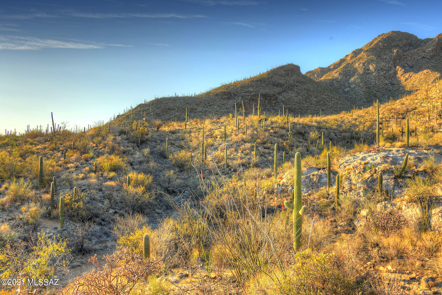 Pima Canyon Estates (30,33,96-102,115,124-127,136-139,147-151,16) - Land