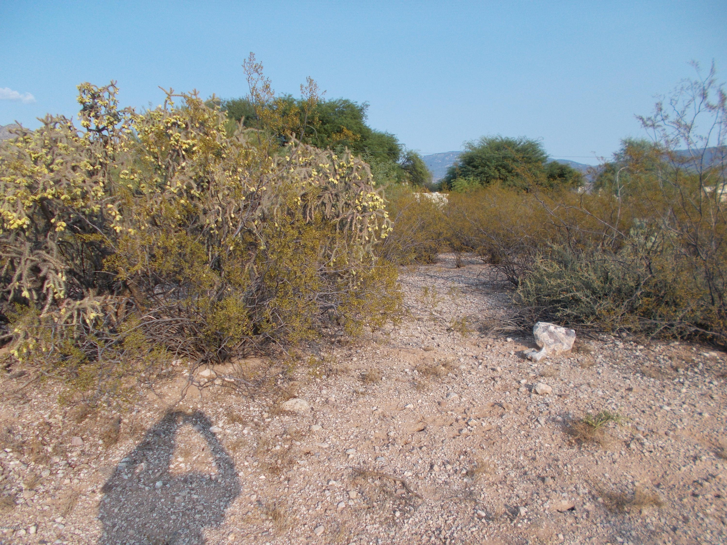 FLAT, beautifully vegetated, approximate 1 acre site in the HEART of the TANQUE VERDE VALLEY in a 5 lot community of HI-END CUSTOM HOMES. Nicely shaped site to easily  accomodate a sizable, north, south oriented design. Enjoy Catalina and Rincon Mountain views, nearby hiking, biking and riding trails in the NAT'L FOREST,  delightful AGUA CALIENTE PARK, golf at 49ers Country Club or Arizona National and so much more! Experience the laid back, rural feel of Tucson's NORTHEST SIDE with surprisingly easy access to the many UNIVERSITY and DOWTOWN amenities. Also, an easy walk to award winning TANQUE VERDE ELEMENTARY school. NOT many left like this left; drive out and take a look today.
