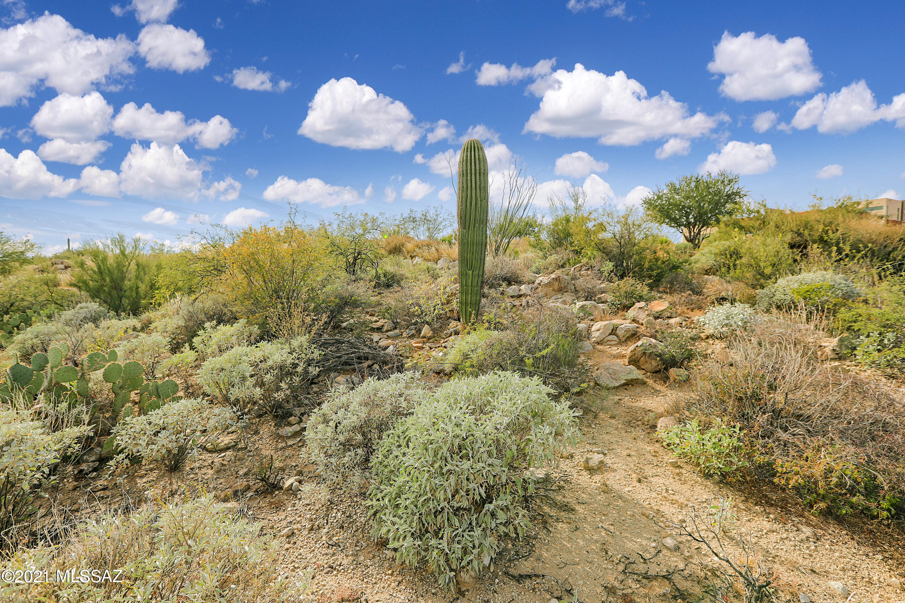 Stone Canyon I - Land