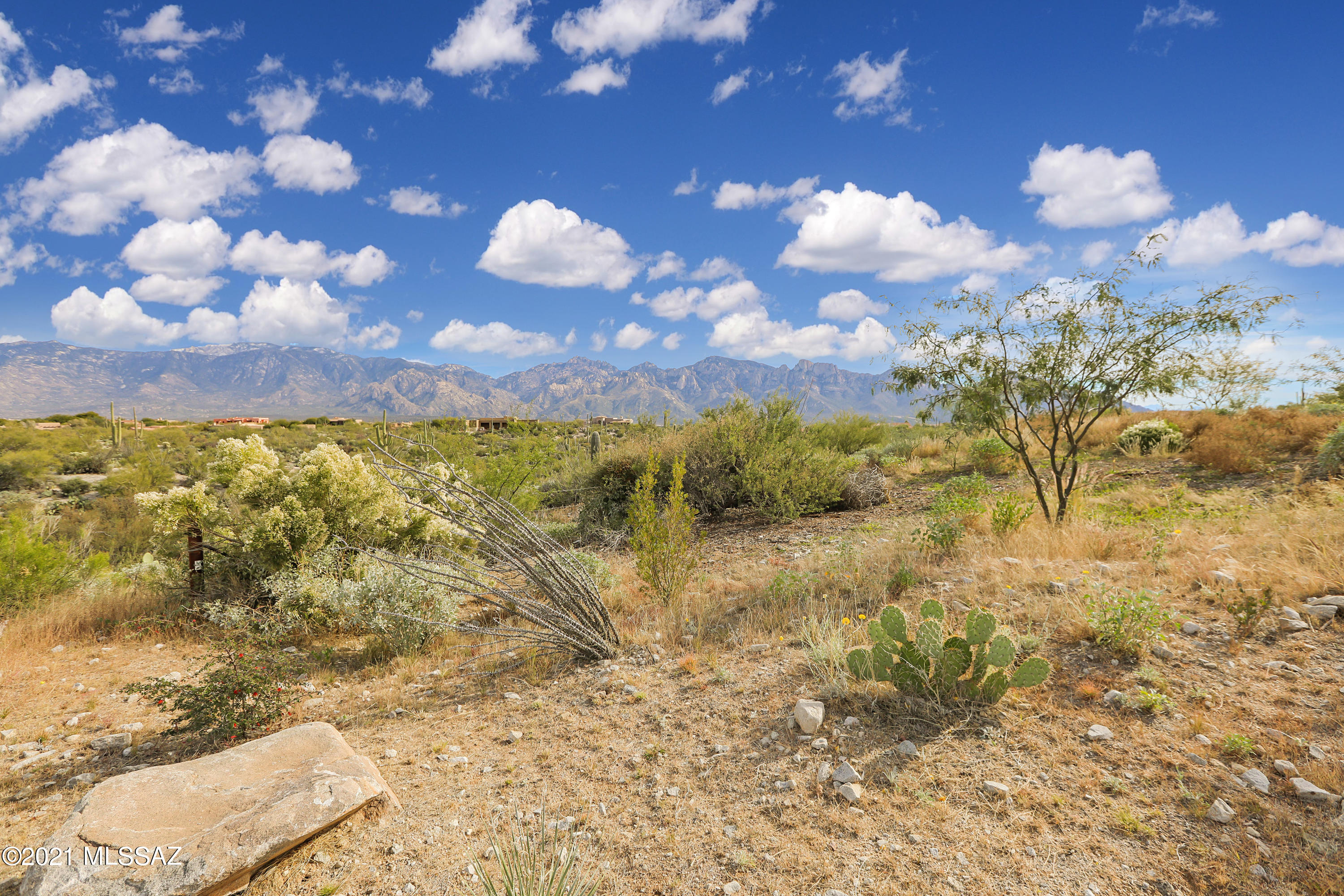 Stone Canyon I - Land