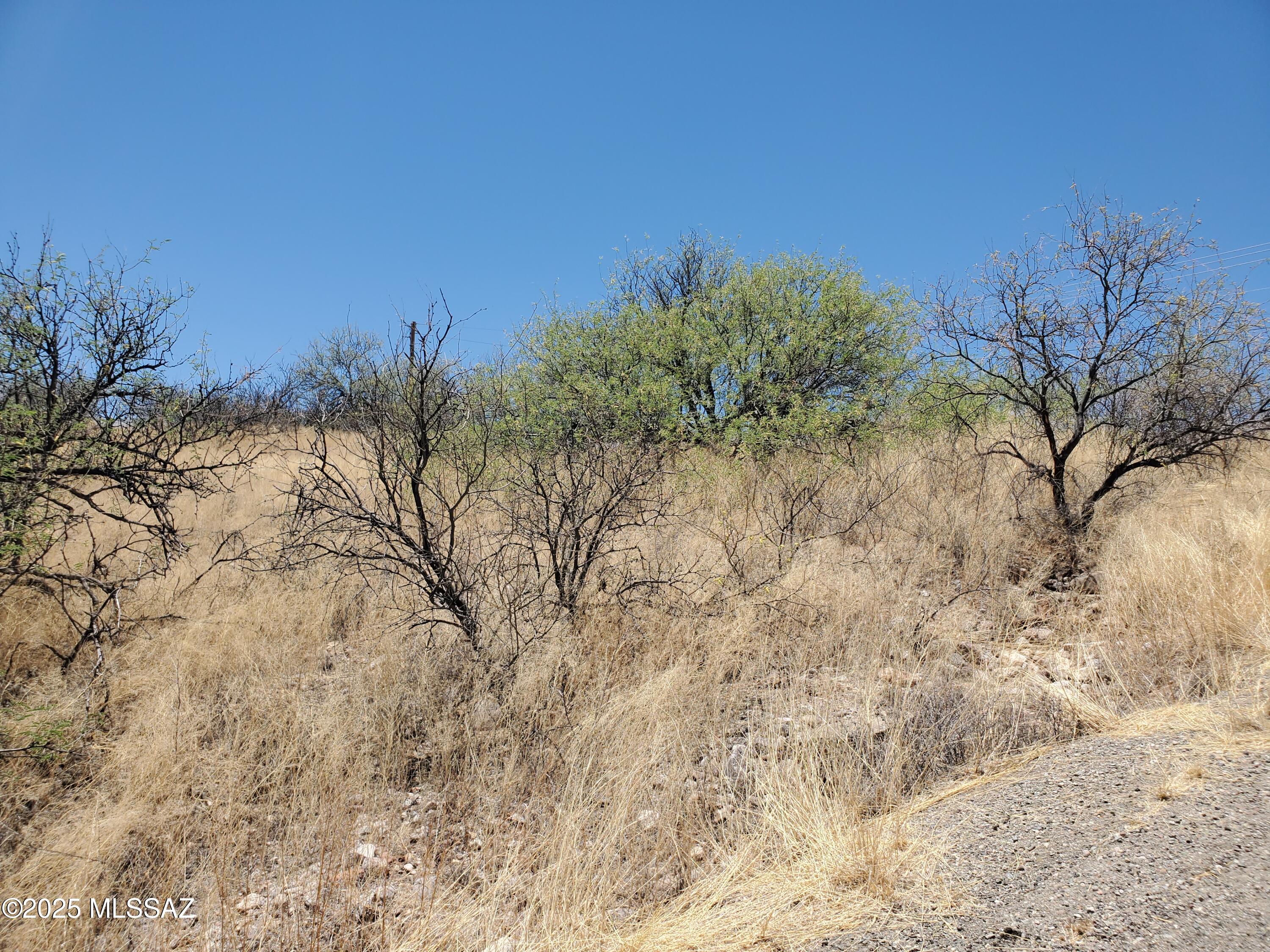 Rio Rico Ranchettes 7 - Land