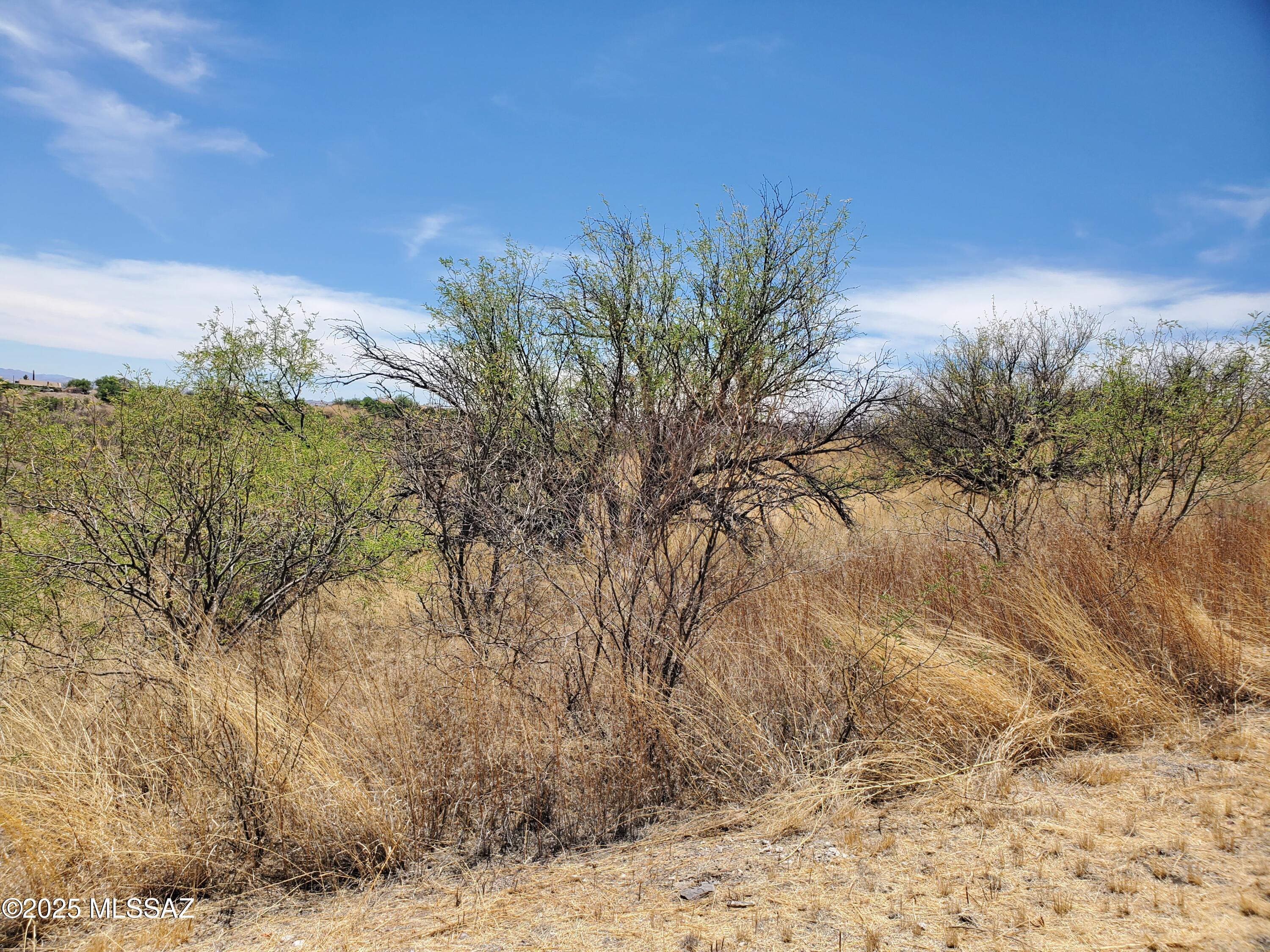 Rio Rico Ranchettes 7 - Land