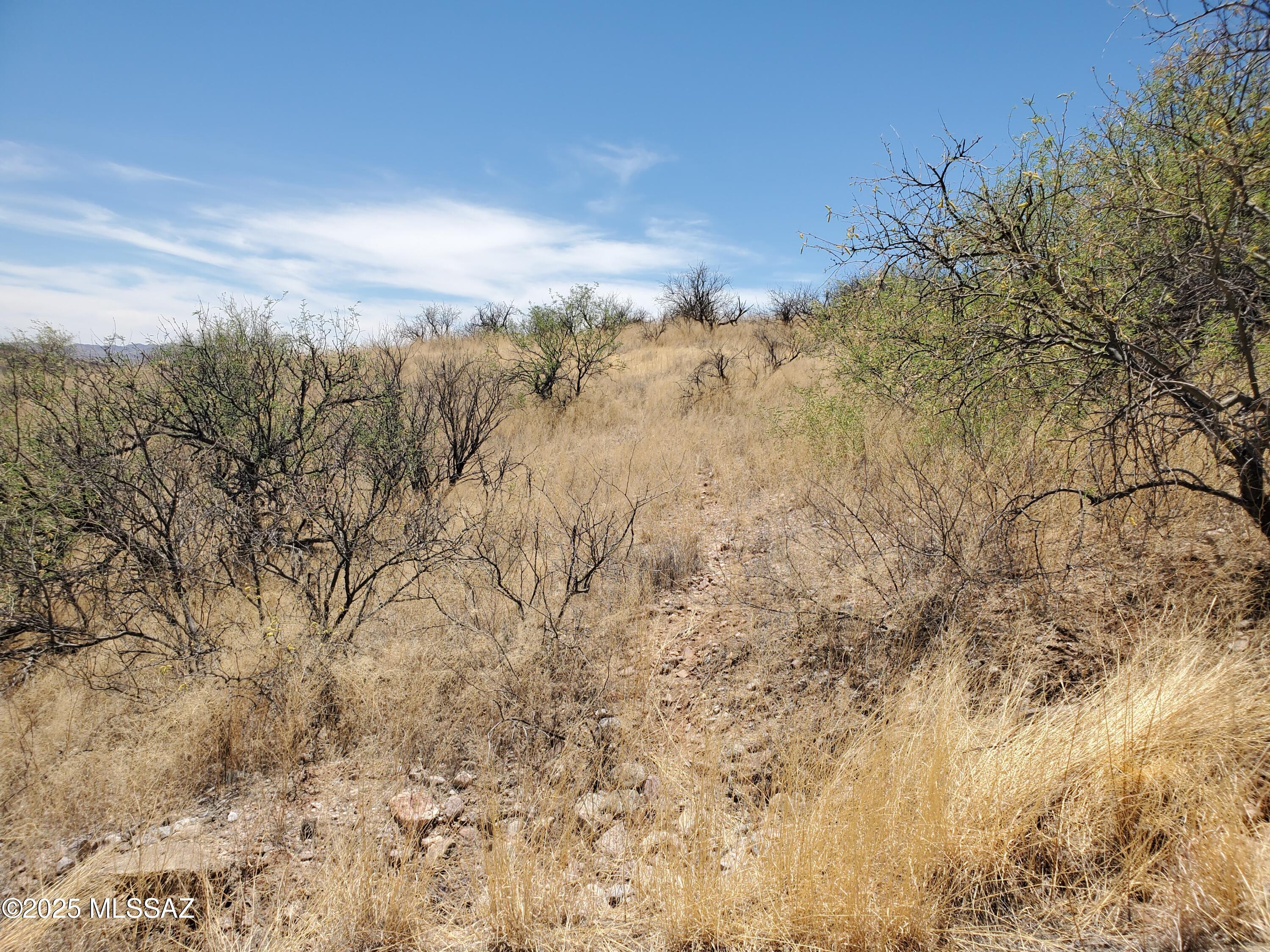 Huge gorgeous corner lot in the heart of Rio Rico.  Almost a full acre of land.  Lot has not been perc tested.  Please verify utilities during inspection period.  Per Liberty Water, water is available to this lot.
