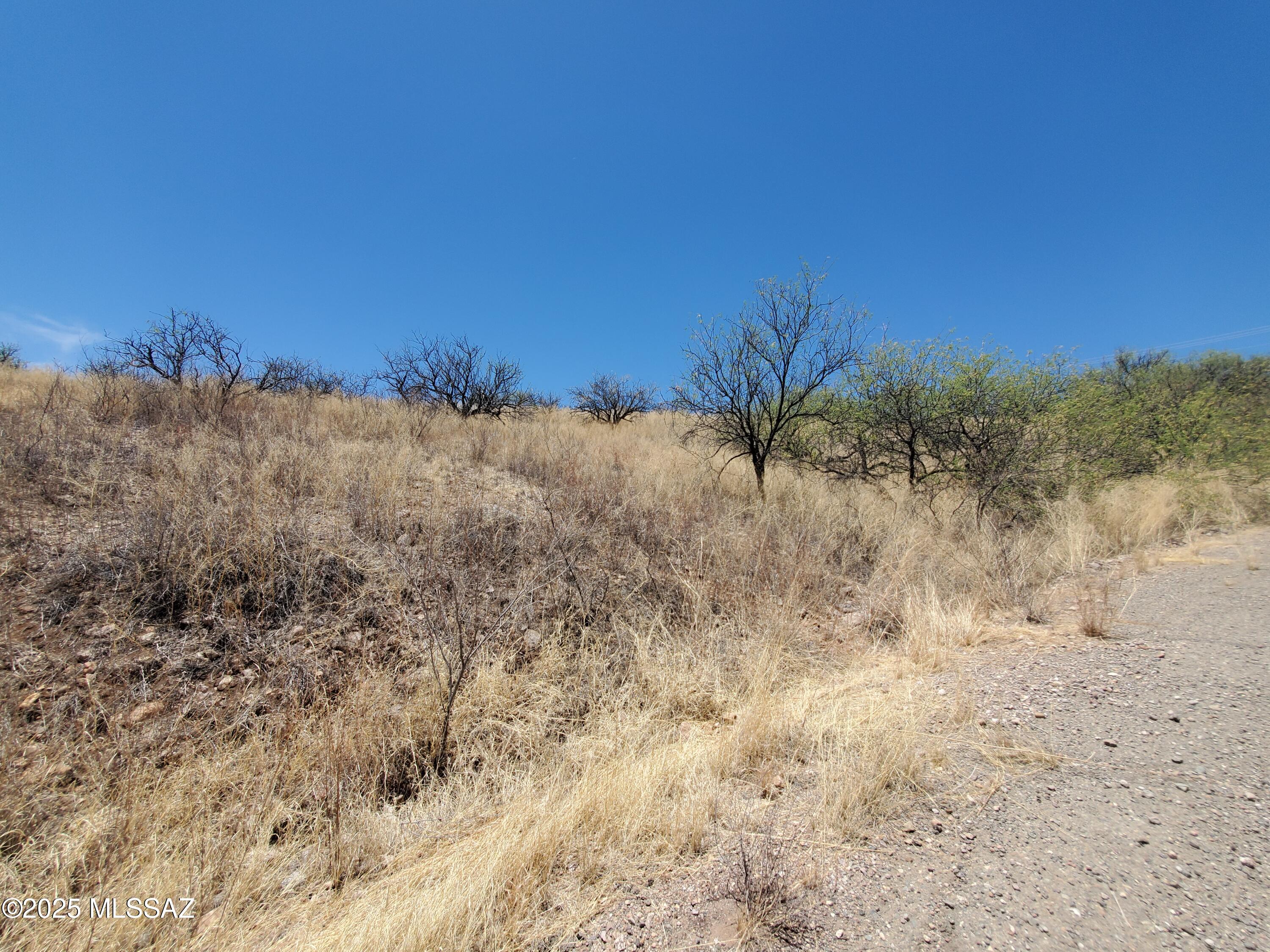 Rio Rico Ranchettes 7 - Land