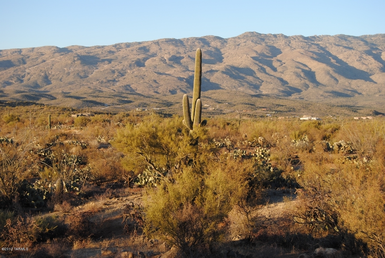 Coyote Creek (1-395) - Land
