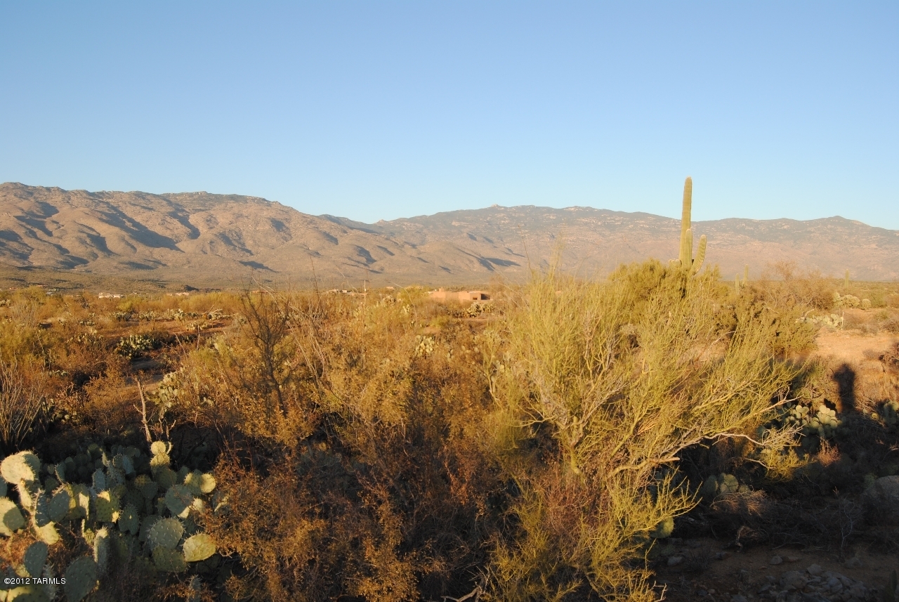 Coyote Creek (1-395) - Land