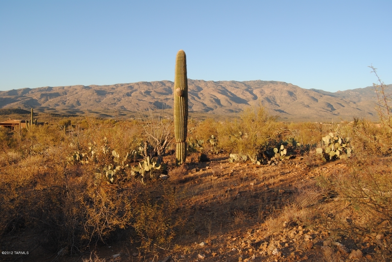 Coyote Creek (1-395) - Land