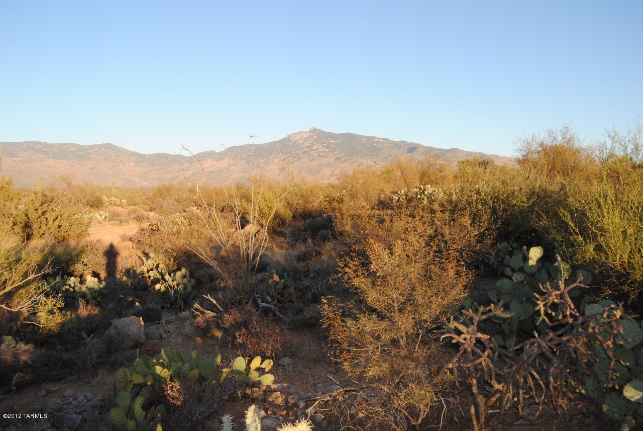 Coyote Creek (1-395) - Land