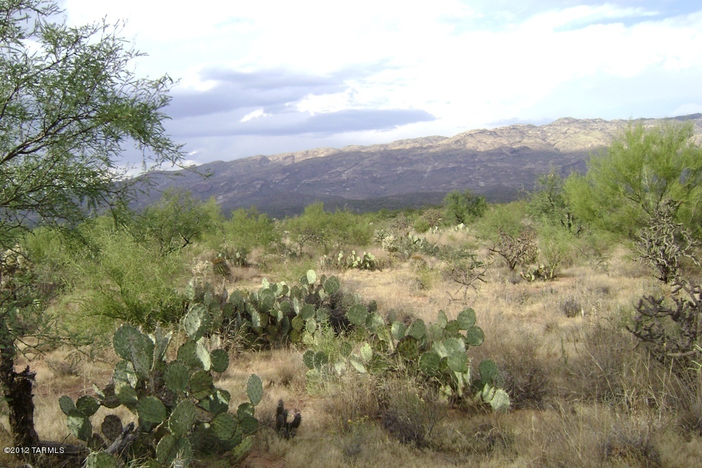 Coyote Creek (1-395) - Land