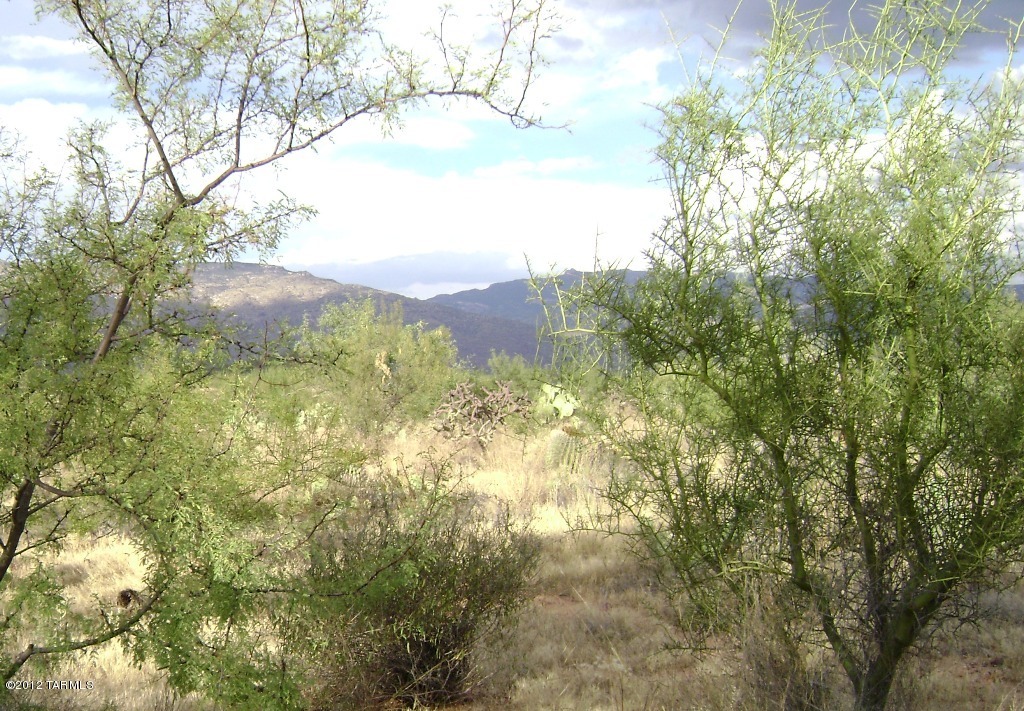 Coyote Creek (1-395) - Land
