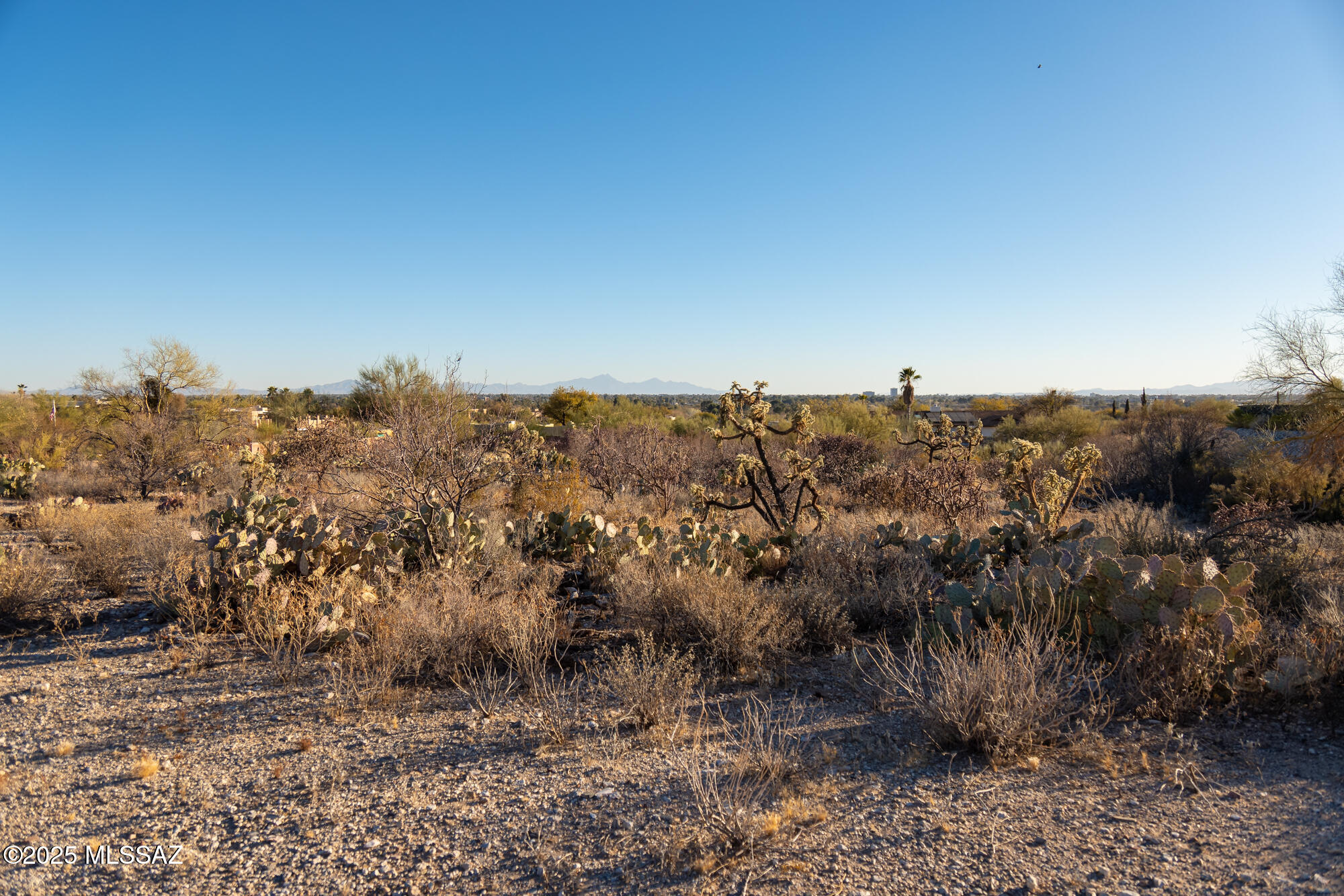 Rio Verde Vista III - Land