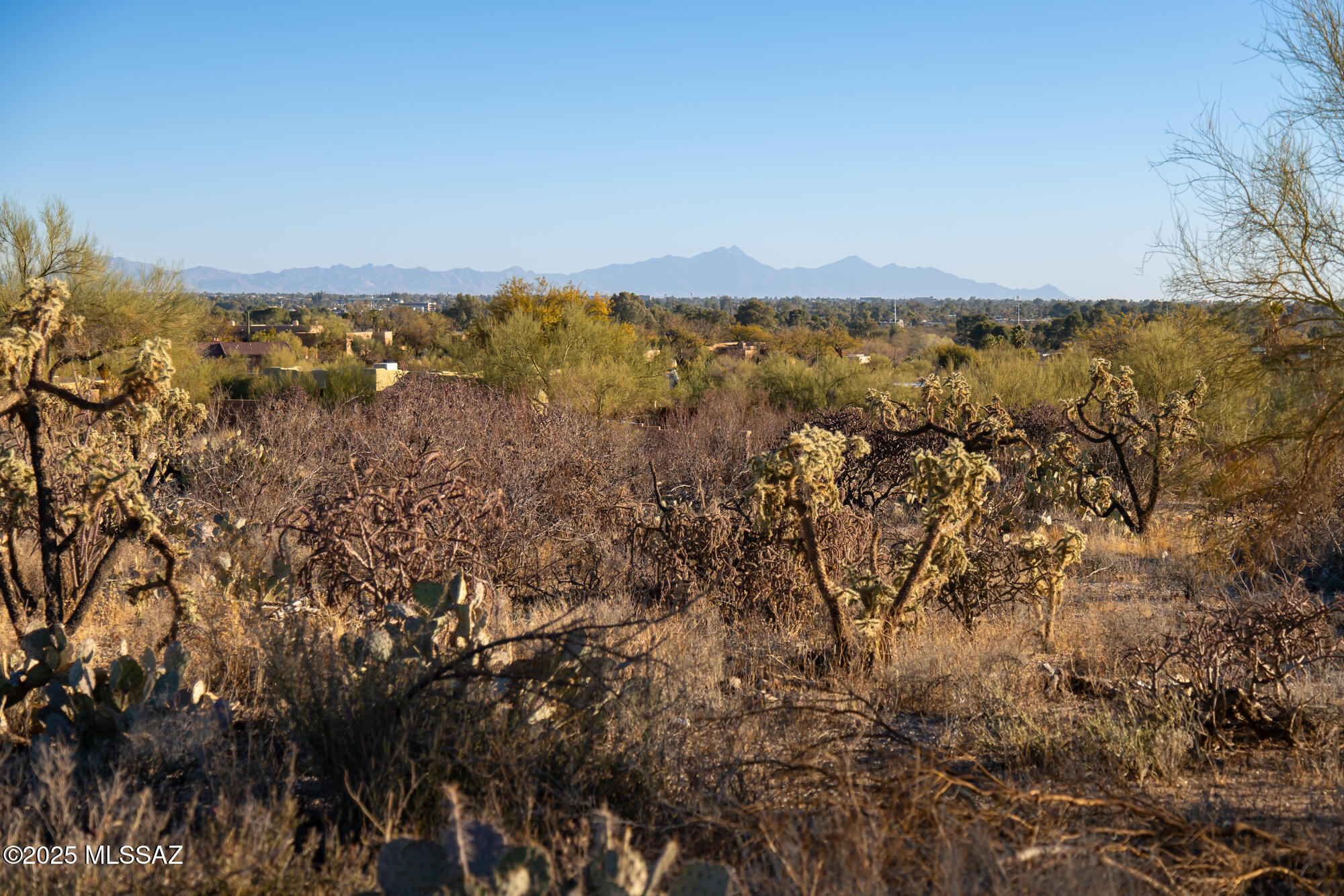 Rio Verde Vista III - Land