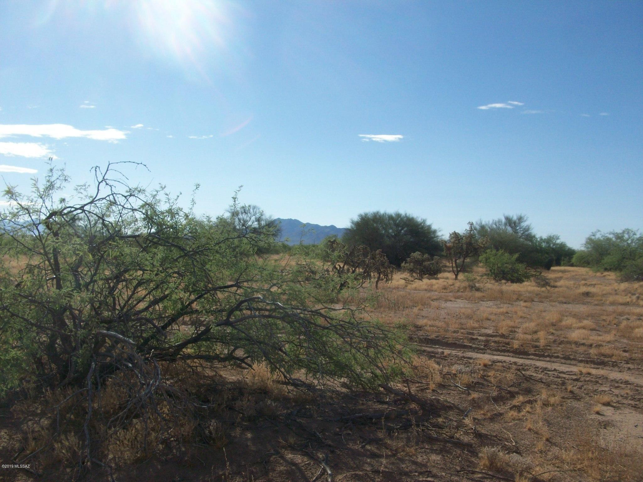 4.73 acre lot - no evidence of previous structures - pristine land - just south of Manville - east access - dirt road less than 1/4 mile - rural, yet close.