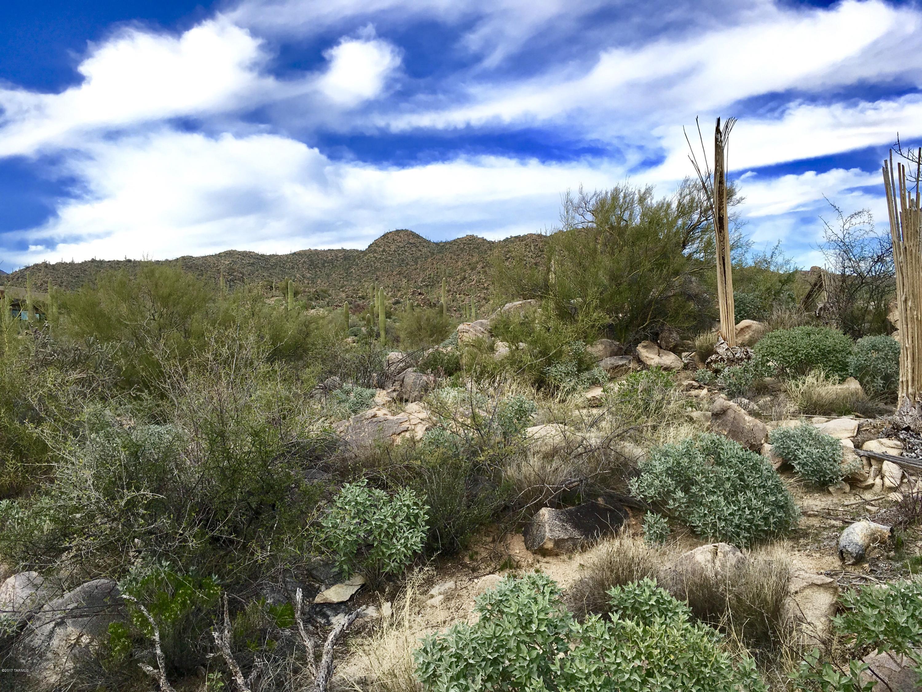 Stone Canyon II - Land