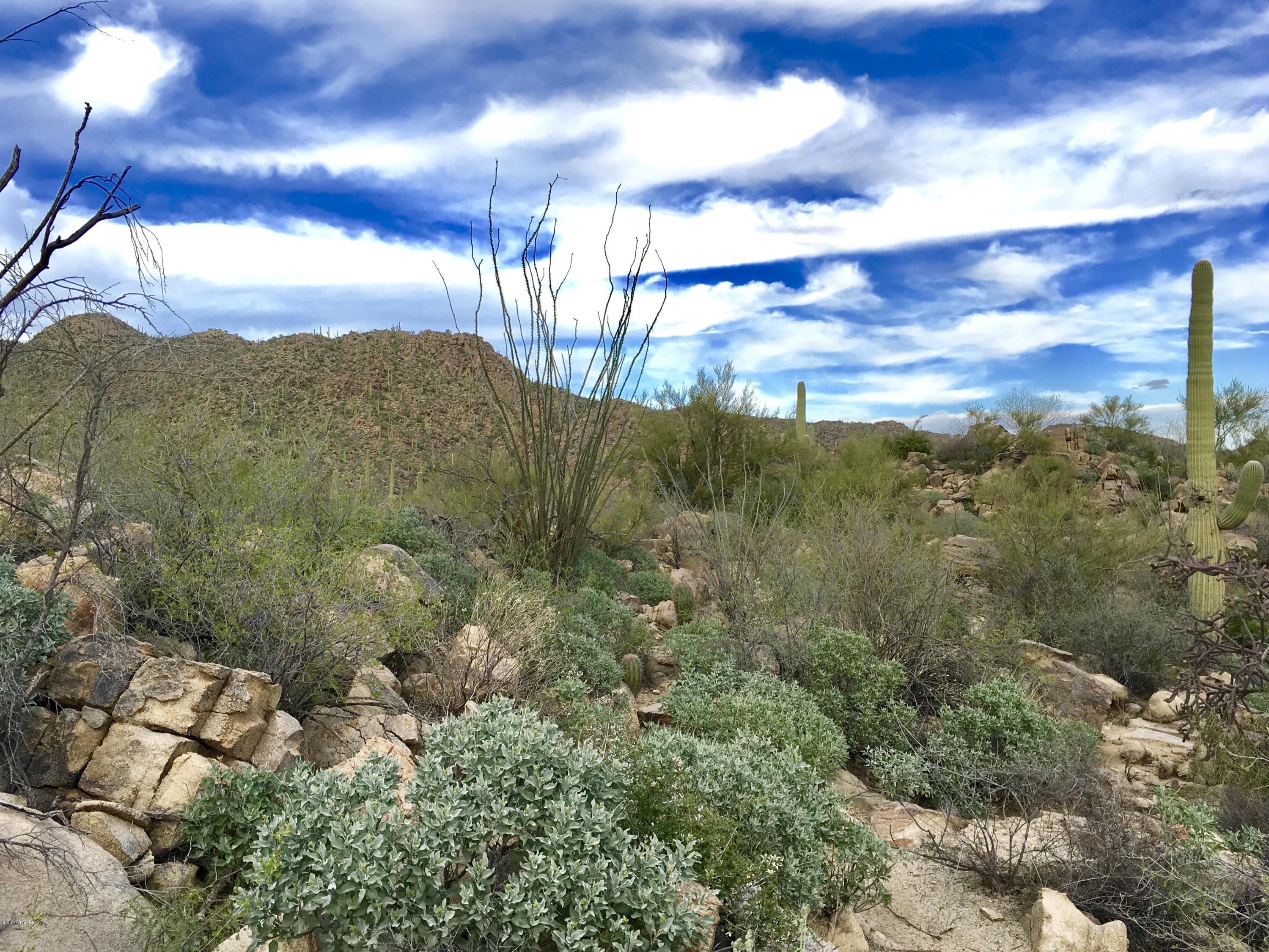 Stone Canyon II - Land