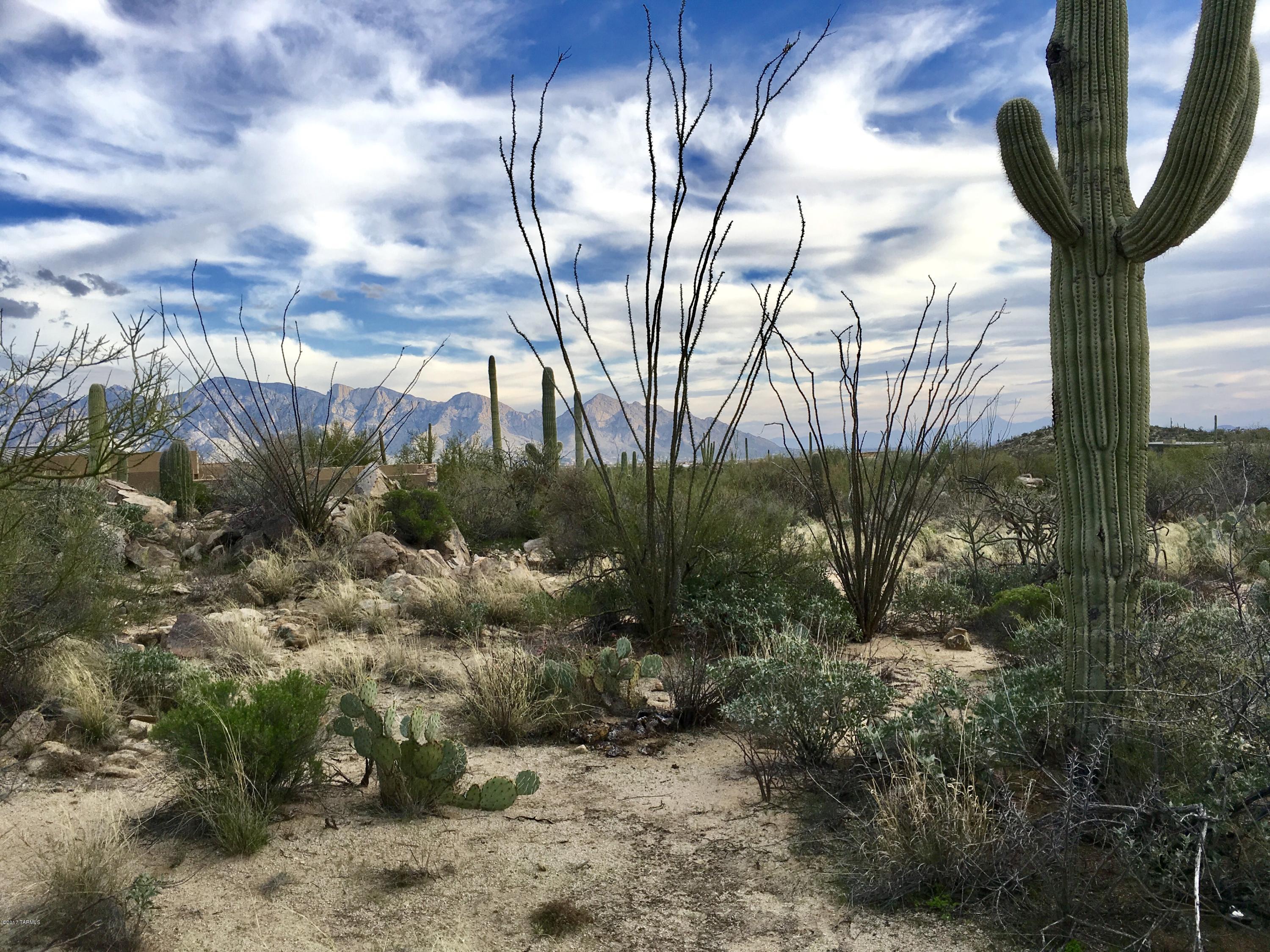 Cul-de-sac location with essentially no site prep and views in literally every direction! Rock formations, Saguaro's, Tortolita, Catalina Mountains AND City lights views from this central Stone Canyon location. Private Gated Neighborhood with Phil Mickelson owned Championship Golf Course.  Contact Agent for tour of site and ammenities.