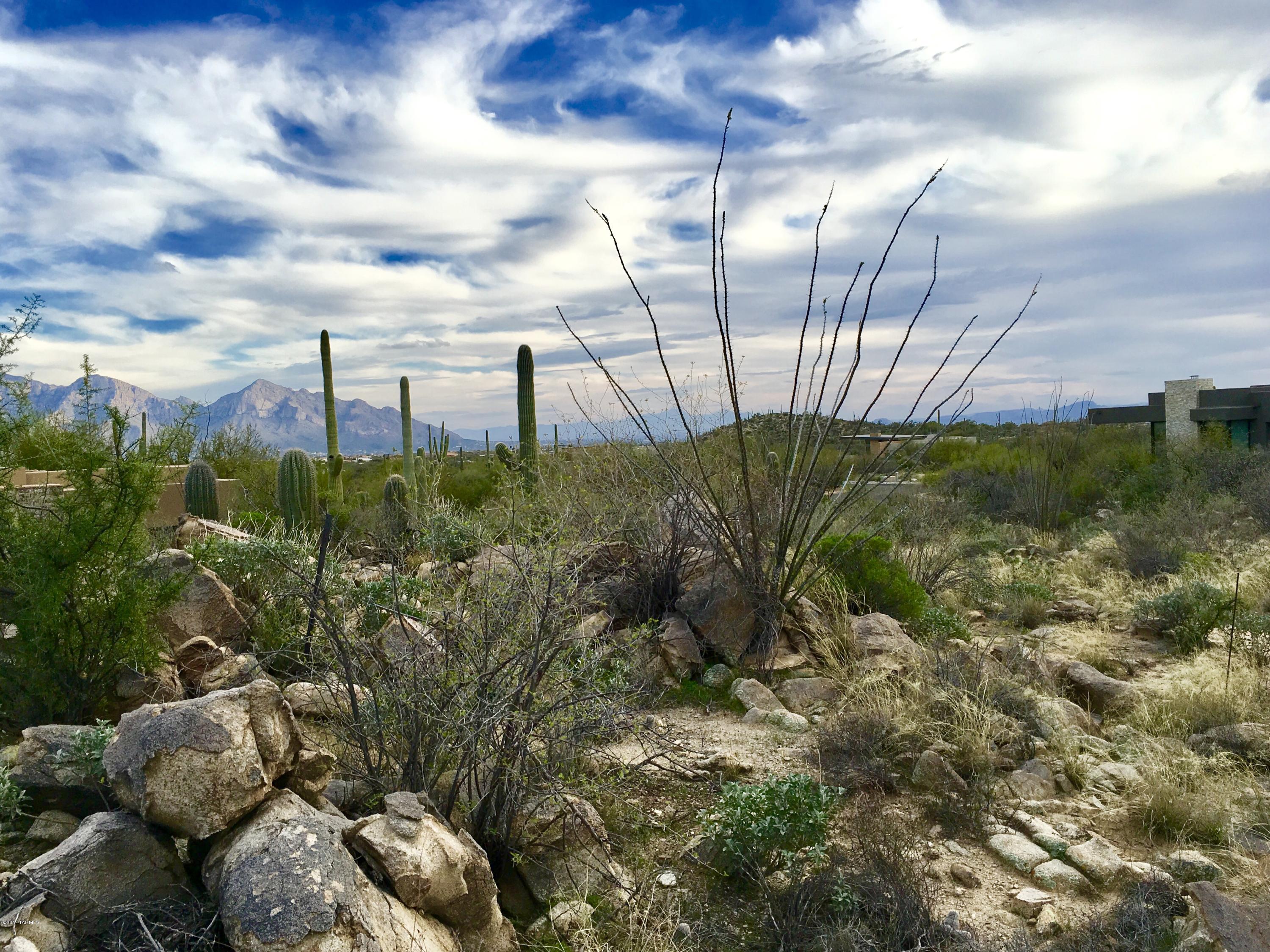 Stone Canyon II - Land