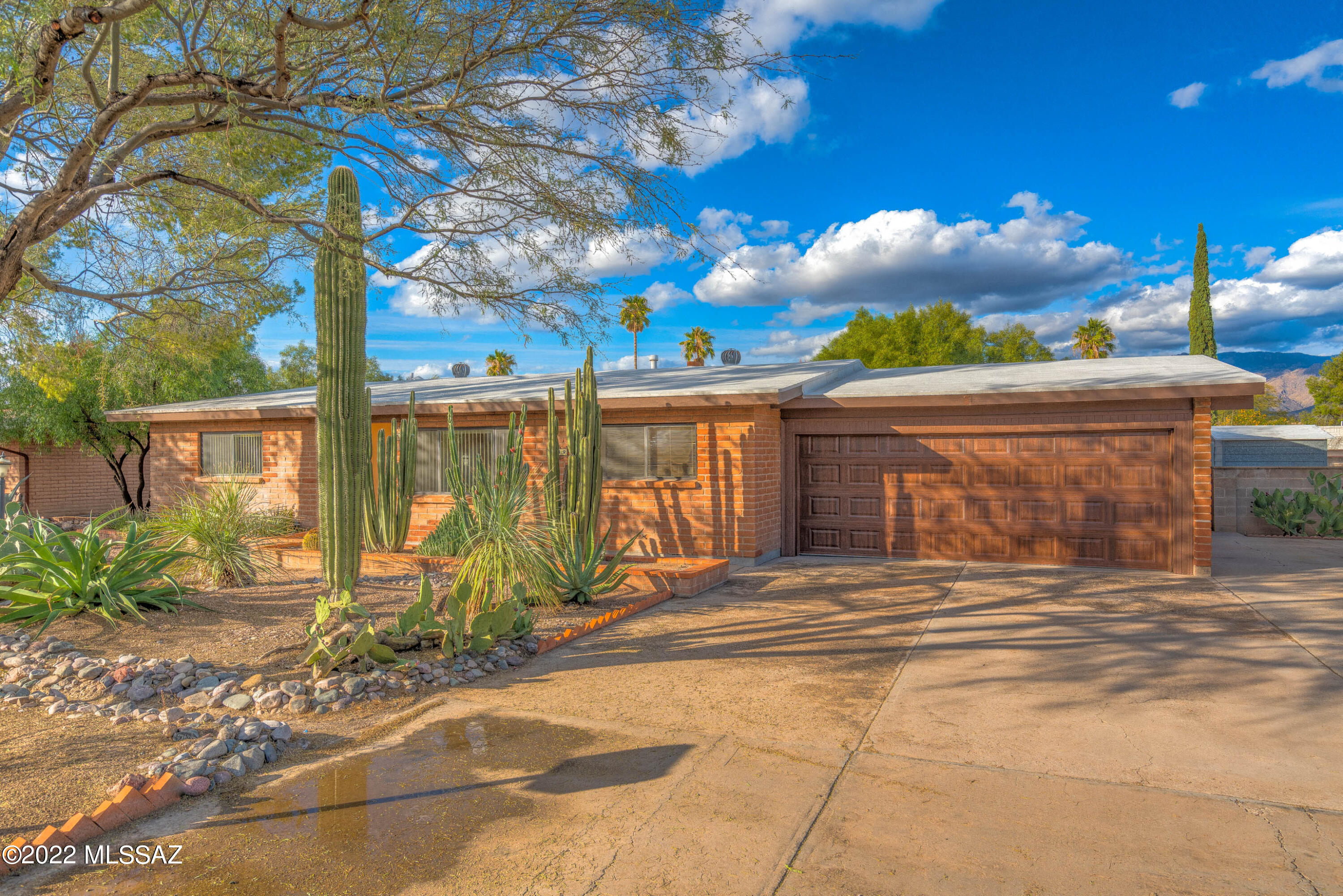 Well maintained 3 BR/2 BA ranch-style brick home near Udall Park. Spacious family areas, great kitchen w/eat-in, master suite walk-in shower, formal dining room & oversized 2-car garage, all set amidst colorful landscaping. Large lot! Water main replaced 2021, Garage door, motor & springs replaced 2020, Adobe sealed 2019, space for an RV also has waste disposal. Home is attractively priced, the only thing missing is you!
Open House -- Saturday, 12/17/2022, from 11am - 2pm.  Curtesy of Sylvia Berman, HomeSmart Advantage Group