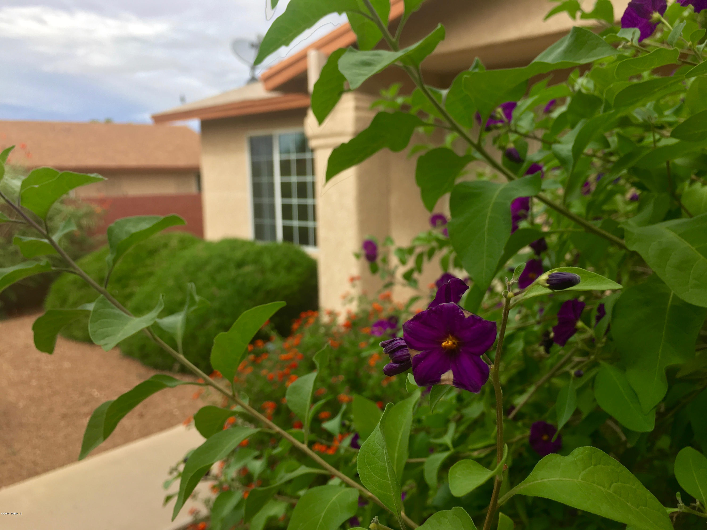 Range Priced: Seller will accept offers between $164,900 - $170,000

This move in ready home is priced below market for a quick sale.

Sporting an open kitchen, landscaped back yard and a large soaking tub in the master bedroom, this home will not last long.