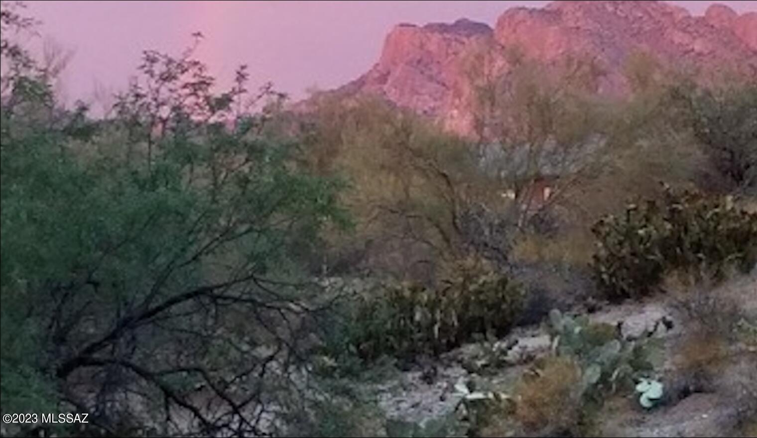 La Cholla Hills(1-313) - Residential