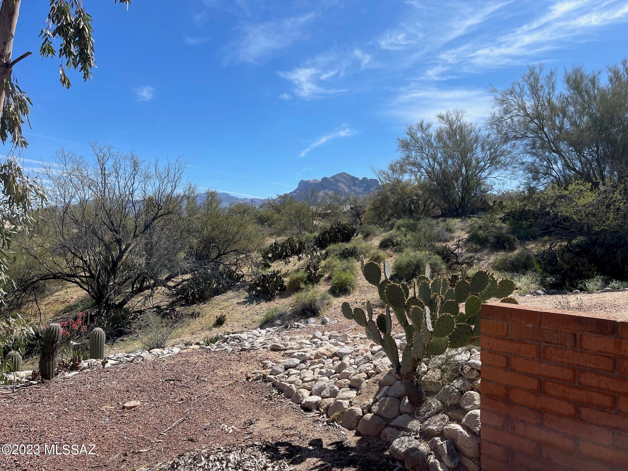 La Cholla Hills(1-313) - Residential