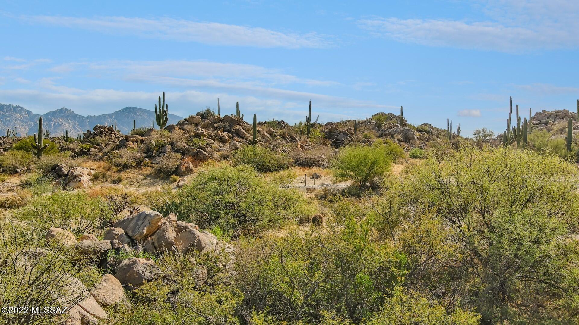 Stone Canyon IV - Land