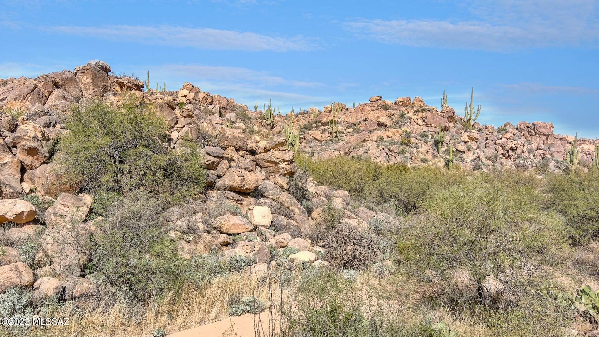 Stone Canyon IV - Land