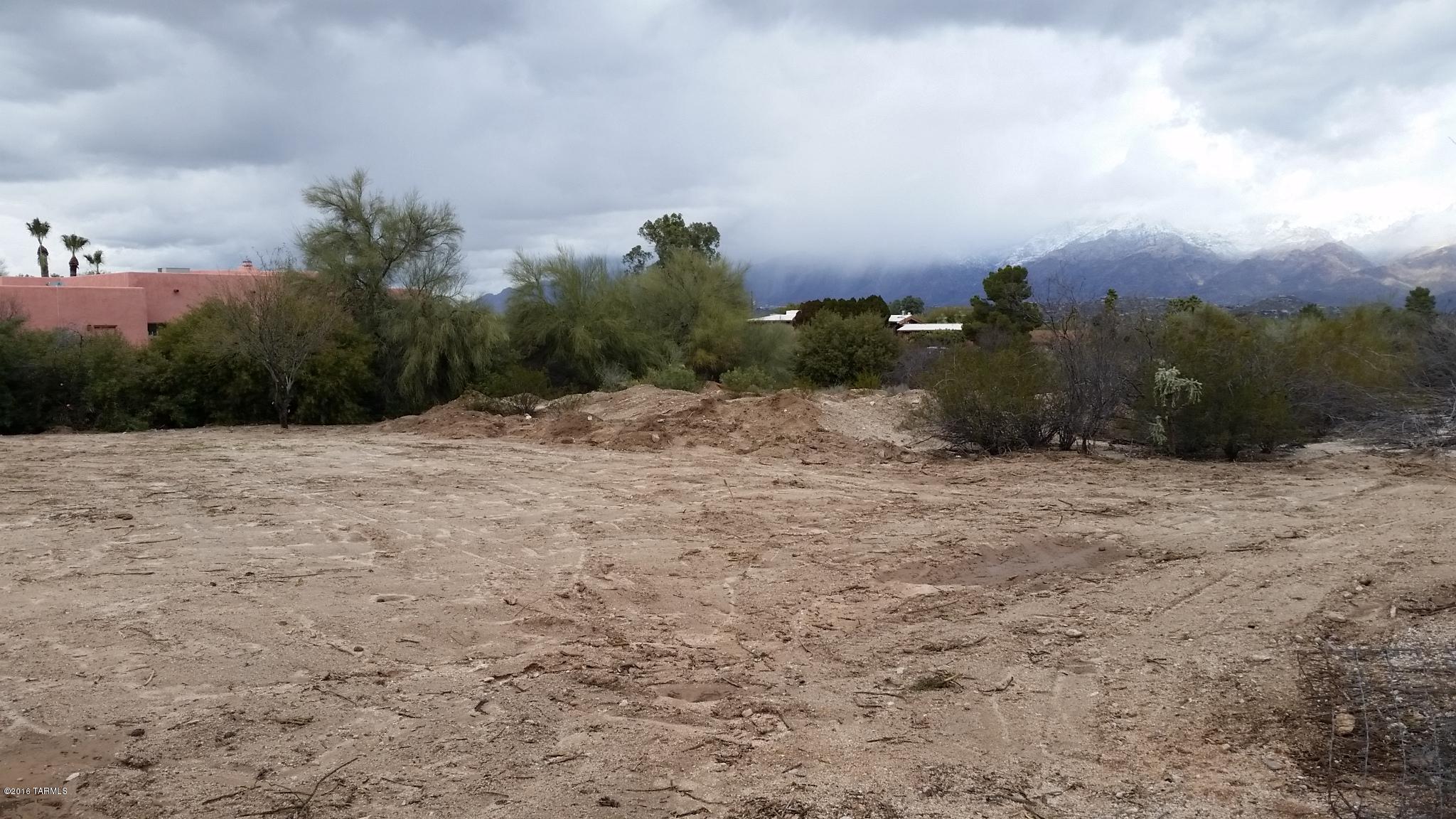 An absolute steal at this price!  Look at the comps.  Seller said SELL!  Beautiful views of the Catalina mountain range from this rare 1 acre in-town lot that is flat and easy to build on.  Quiet and secluded, yet convenient to shopping, dining, etc. No HOA restrictions.  Come see today!
