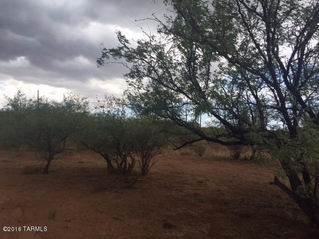 Rio Rico Ranchettes 18 - Land