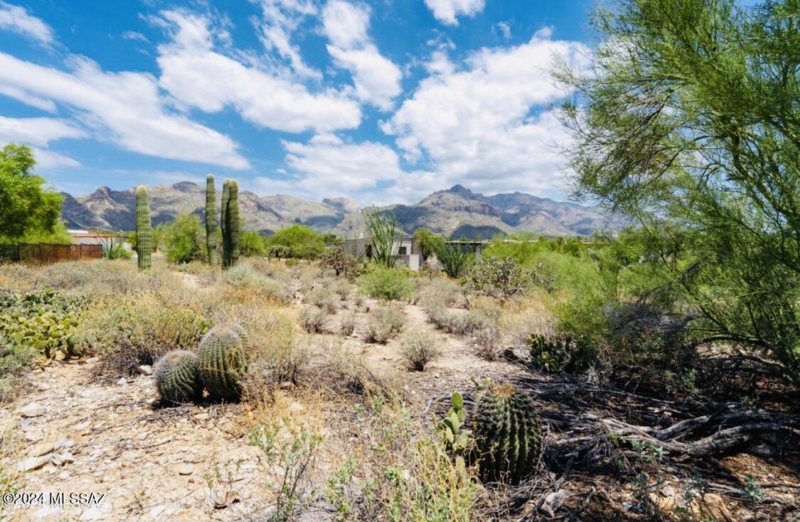 Seize the chance to own a slice of paradise in the coveted Foothills Vista De Las Candelas Estates neighborhood. This 0.820-acre lot, nestled at the end of a tranquil cul-de-sac, promises unmatched privacy and serenity.

Imagine waking up to breathtaking mountain vistas, indulging in the splendor of starlit skies, and marveling at the sparkling Tucson city skyline each evening. This lot offers the perfect canvas for your dream home, combining seclusion with the convenience of being close to shopping, gourmet dining, top-rated schools, and essential amenities.

With surveyed corners and a pristine setting awaiting your vision, this is more than just a piece of land—it's your gateway to a luxurious and peaceful lifestyle. Visit and envision your future here; this is where your - dream home begins. Buyers shall verify all utilities during their due diligence period.