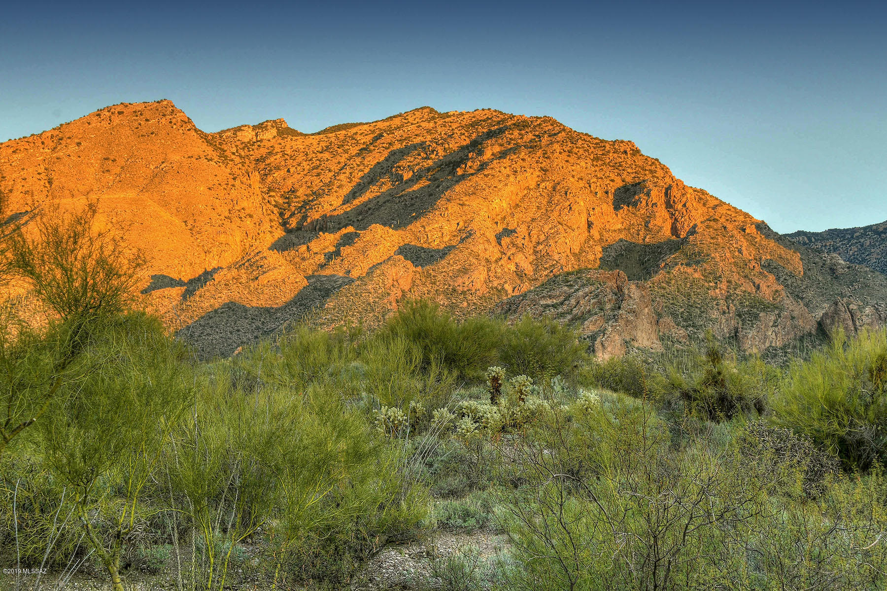 The Ridge At Ventana Canyon (1-63) - Land
