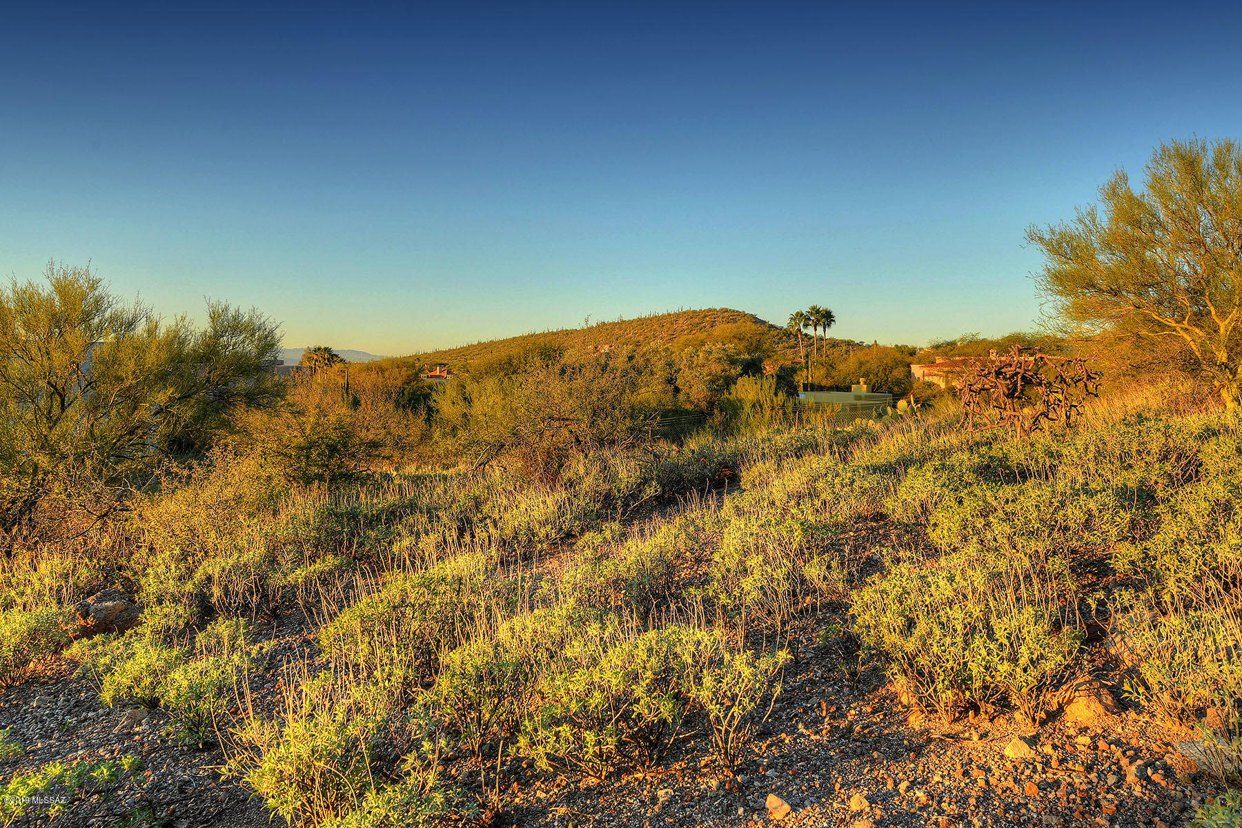 The Ridge At Ventana Canyon (1-63) - Land