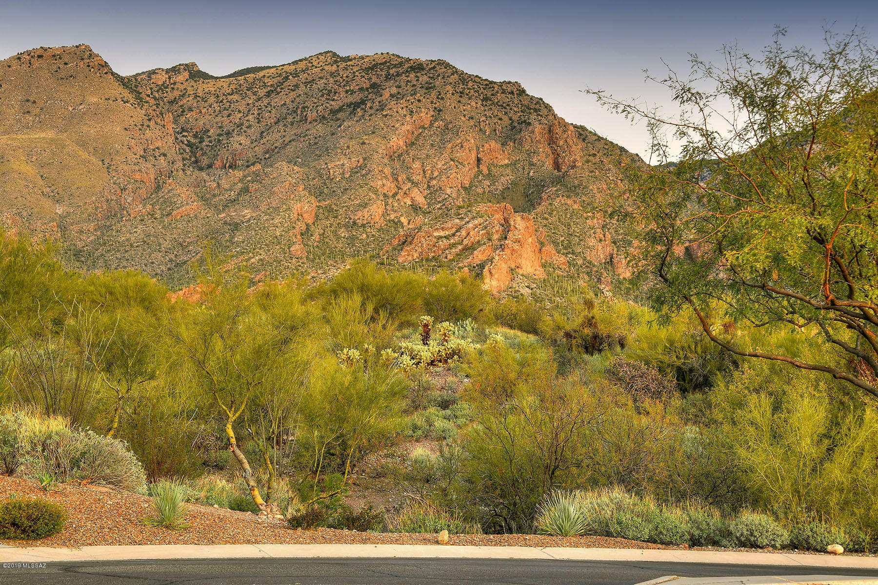 The Ridge At Ventana Canyon (1-63) - Land