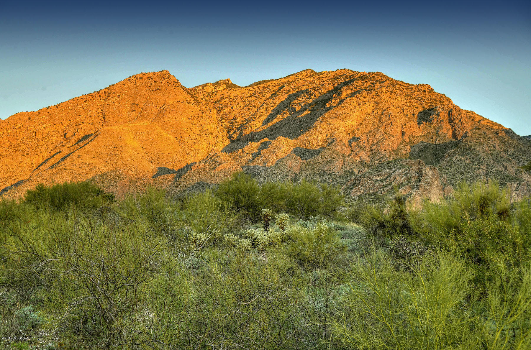 The Ridge At Ventana Canyon (1-63) - Land