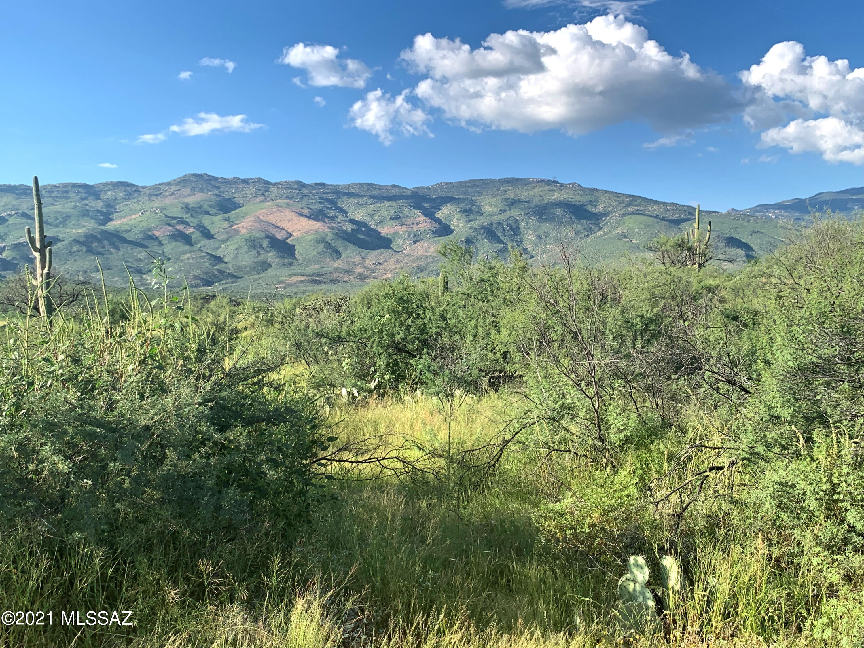 Endless views in all directions. ABUTS SAGUARO NTL PARK along north lot line! The mountains tower over this property. This is a magical part of the Rincon Valley. Shared well super close on neighbor lot to west. Electric service underground in Dos Hermanas. Gently Rolling acreage - mostly flat.  If you want to hike from your land, enjoy nature or keep trail horses - this a fantastic lot! The acreage has a beautiful variety of Sonoran Desert plants, trees, Giant Saguaro, small cacti, flowering shrubs. Neighbors - none too close - have recently built custom homes. CCRs prohibit manufs with NO HOA to limit the design of your future home. Wind through Coyote Creek Estates then, 2 miles unpaved rd - if you seek privacy & natural splendor - this property is it!