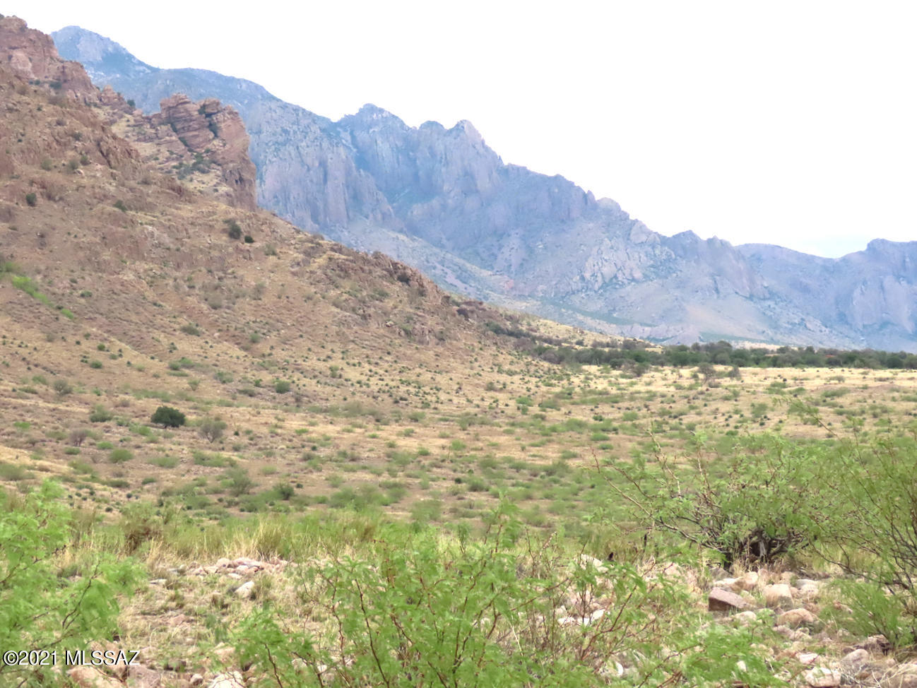 High desert ranch country bordering Chiricahua Wilderness. No HOA, no CC&Rs. 1/2 mile long, 39.3 ac, healthy grassland runs right up to Nat'l Forest. Private! Lots of good building sites, perfect for solar. Cash preferred,  owner carry, 50% down, 5 yr term. Panoramic views to Horseshoe Can to S, Portal Peak to N & Peloncillos mts. Great for a camping base, bring your pipe corrals and horses & ride for miles. Apache School District, propane delivery. Agaves, cacti & cliffs above. Wildlife, birds  Neighbor wells are downhill & at reasonable depths for this area. 50 mi to Douglas & major shopping; library/clinic in Portal, Rodeo for cafes, lodging, Tesla charging station, gas/hardware in San Simon & Animas. Good Verizon & ATT coverage, landline on Owls Butte. UPS FedEx will find you here!