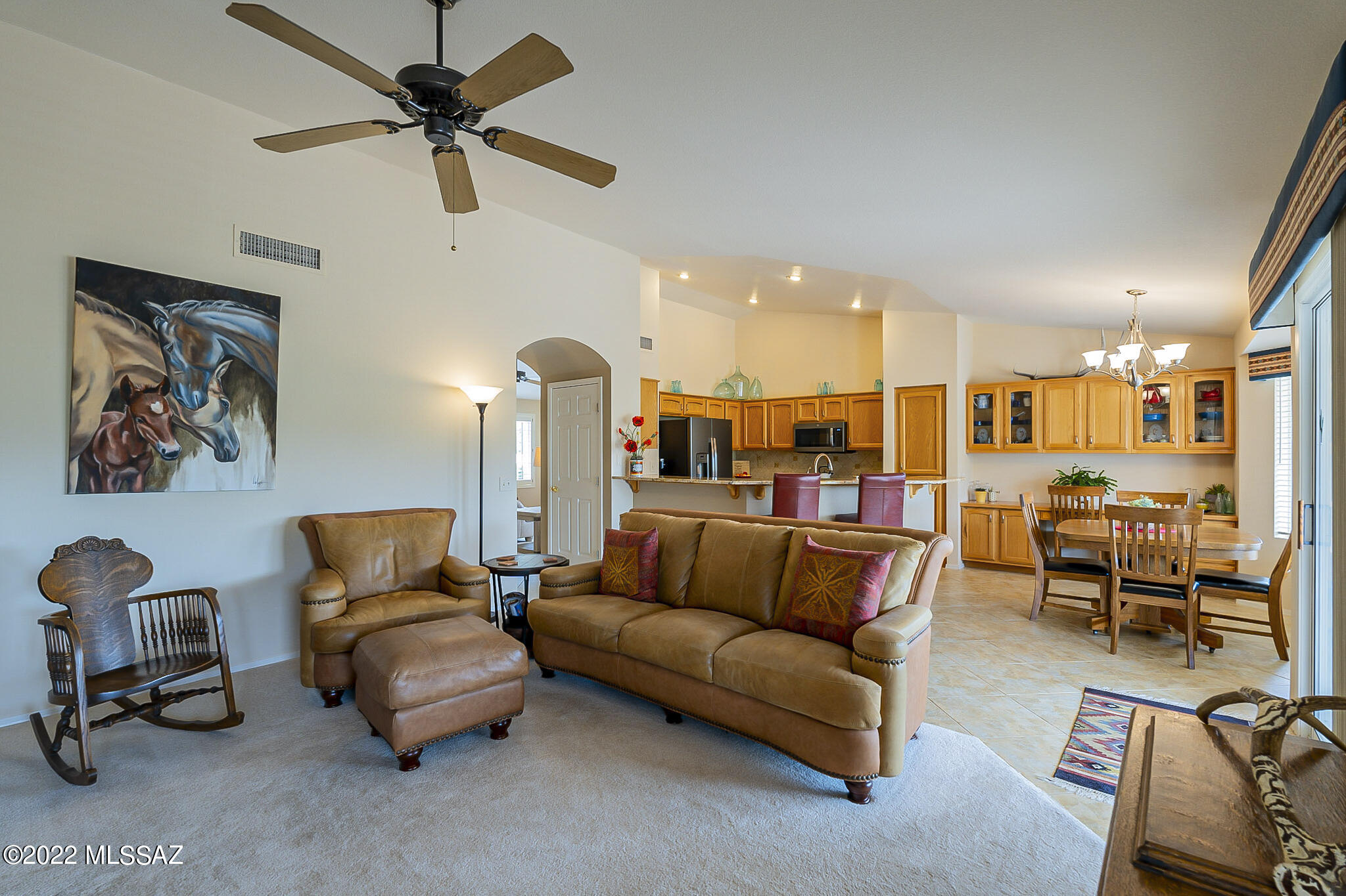 Saddlebrooke - Residential