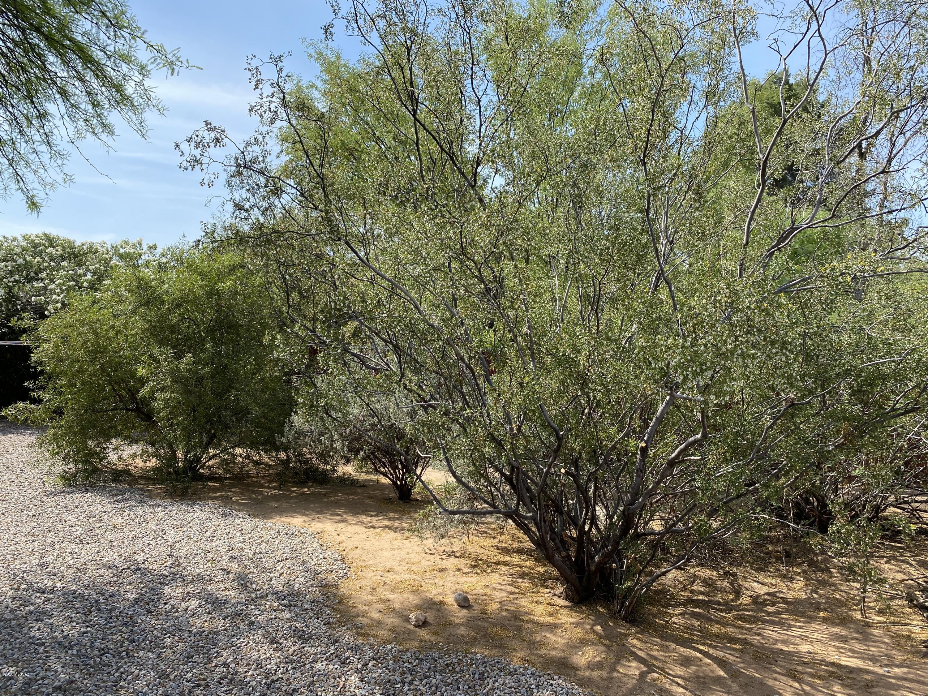 Palo Verde Amended - Residential