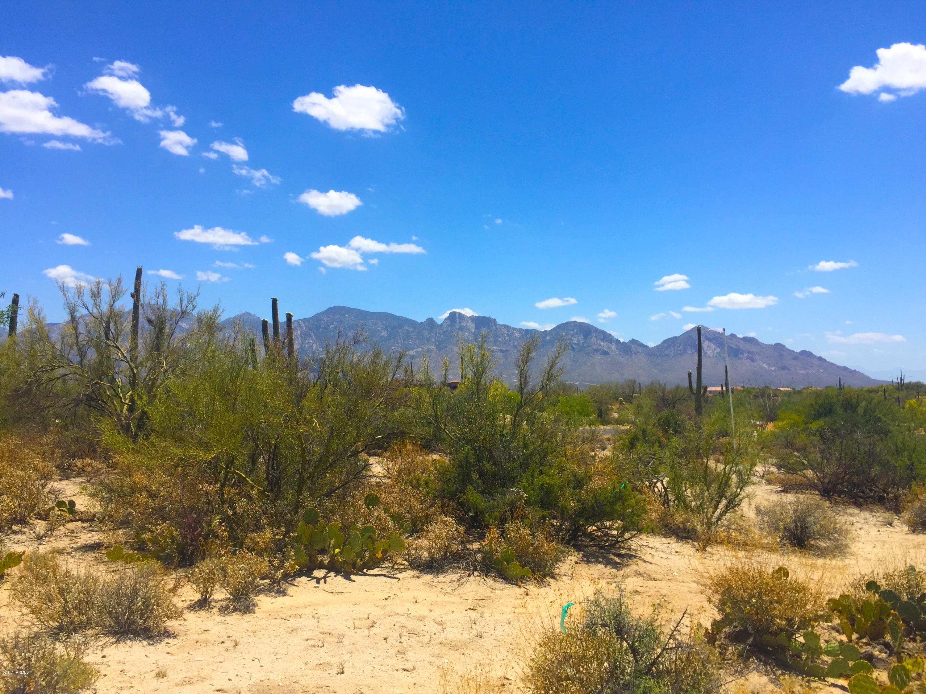 Stone Canyon VIII (486-602) - Land
