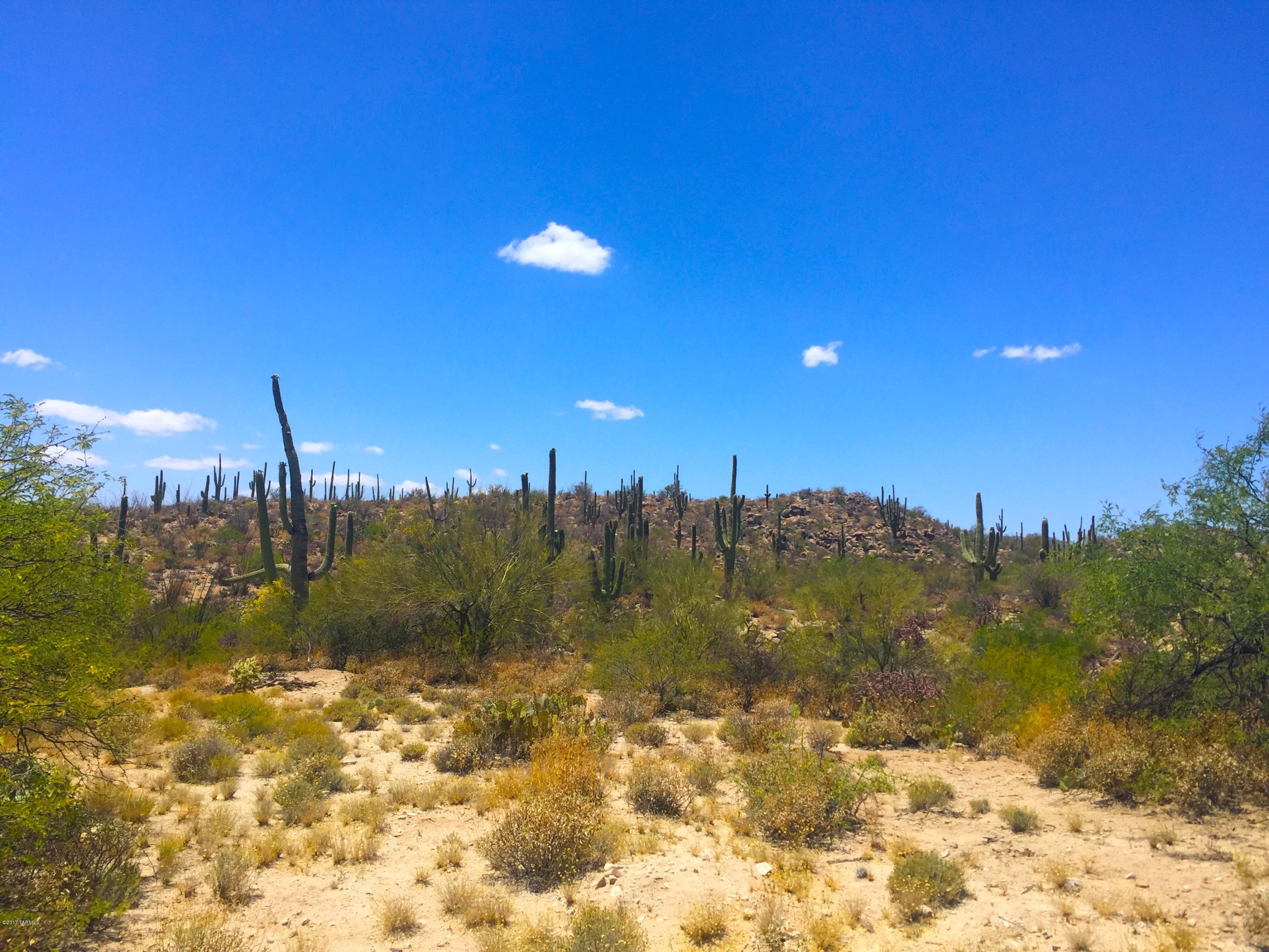 Stone Canyon VIII (486-602) - Land
