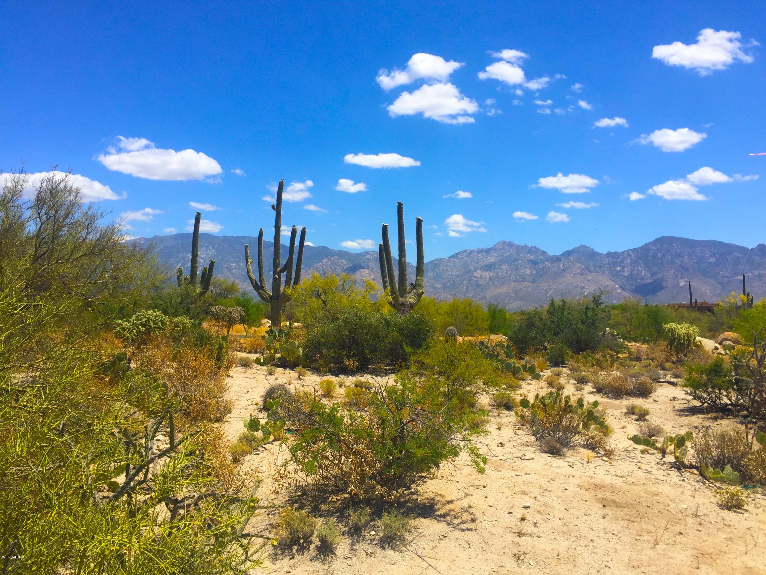 Stone Canyon VIII (486-602) - Land
