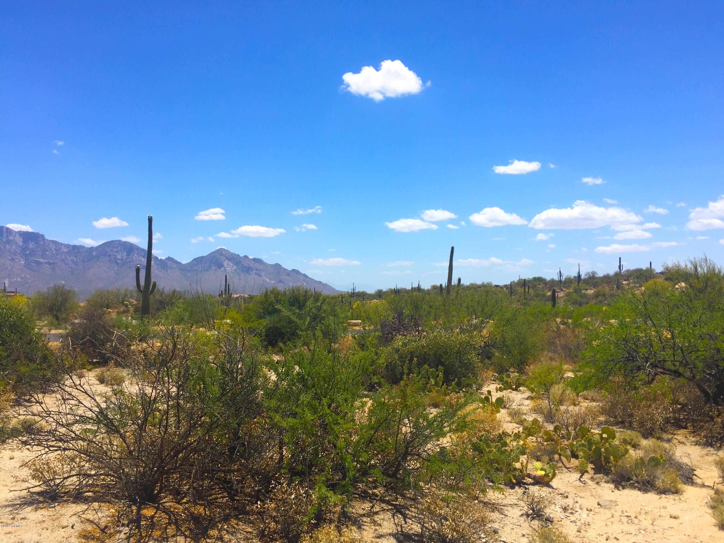 Stone Canyon VIII (486-602) - Land