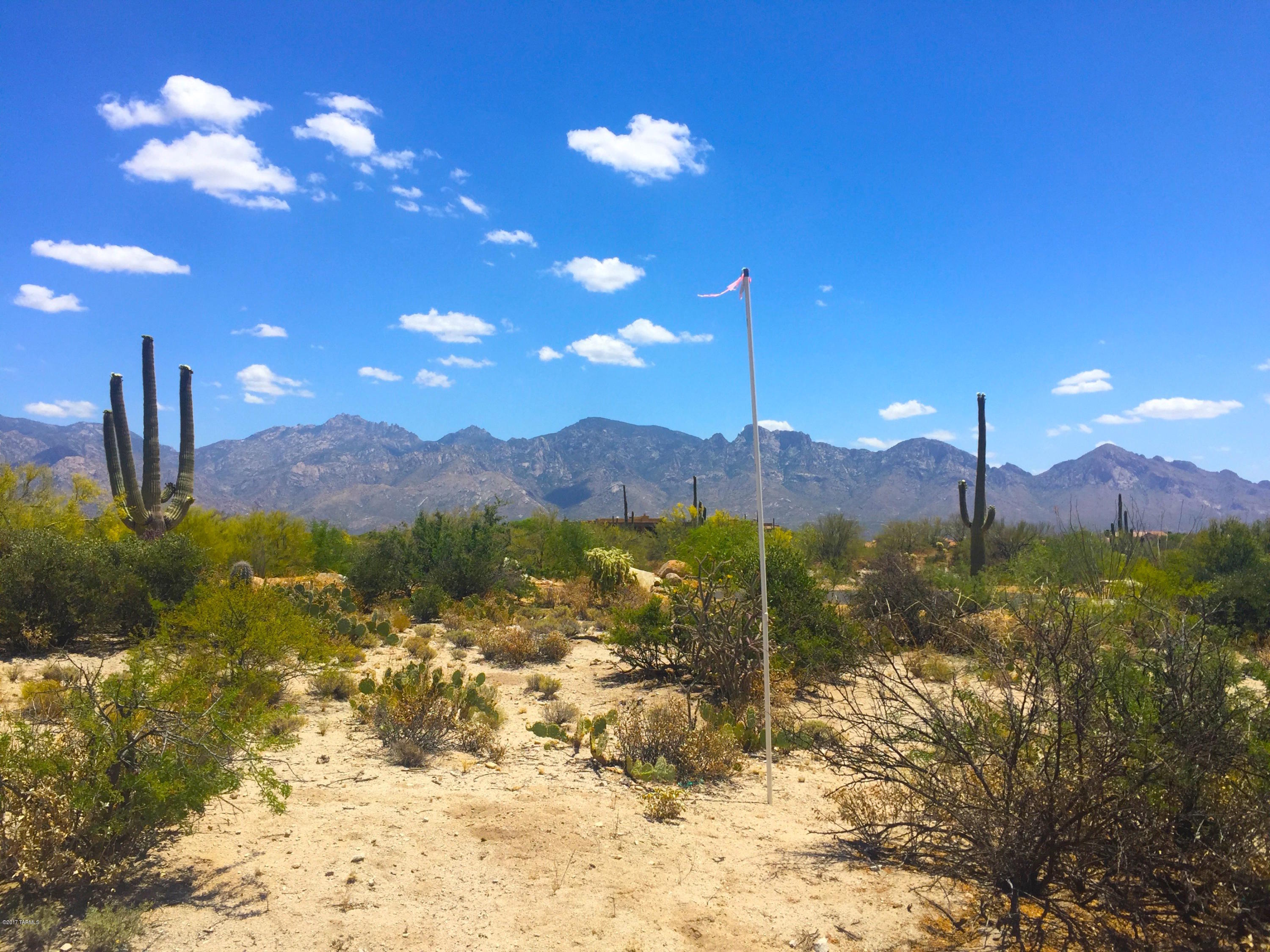 Beautiful home site, filled with lush desert vegetation, towering Saguaro Cactus as well as mounded boulder rock out cropping. Builder plans ready stating at $460,000.